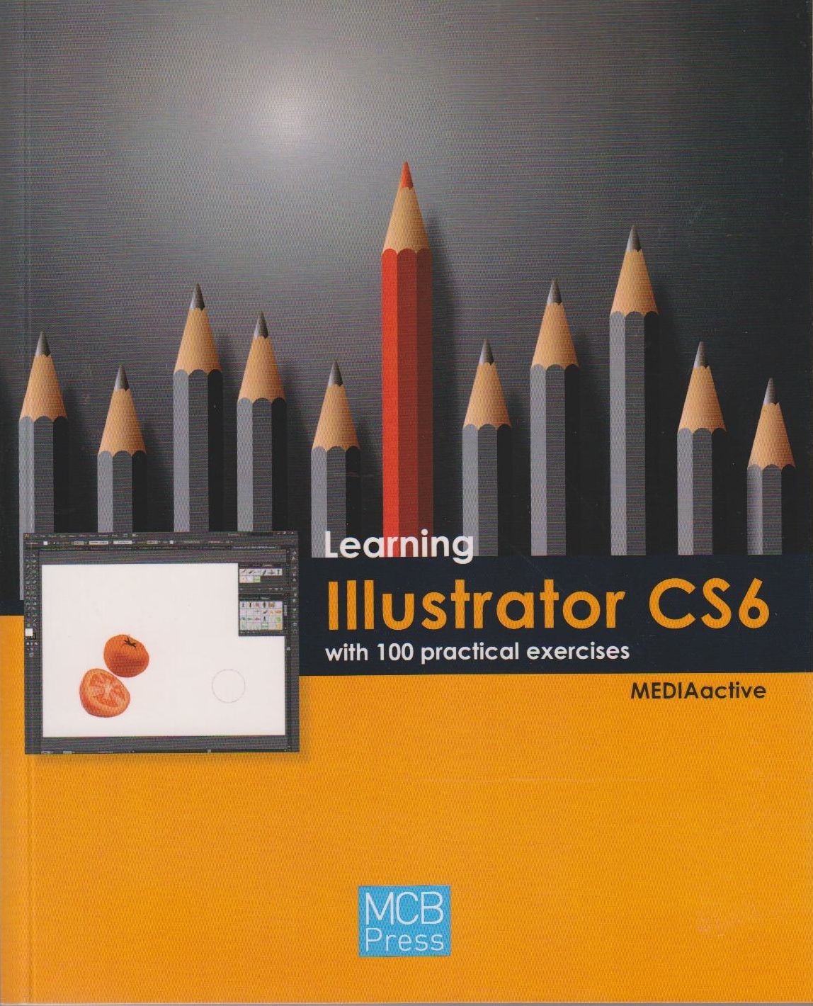 Learning Illustrator Cs6 with 100 Practical Excercises