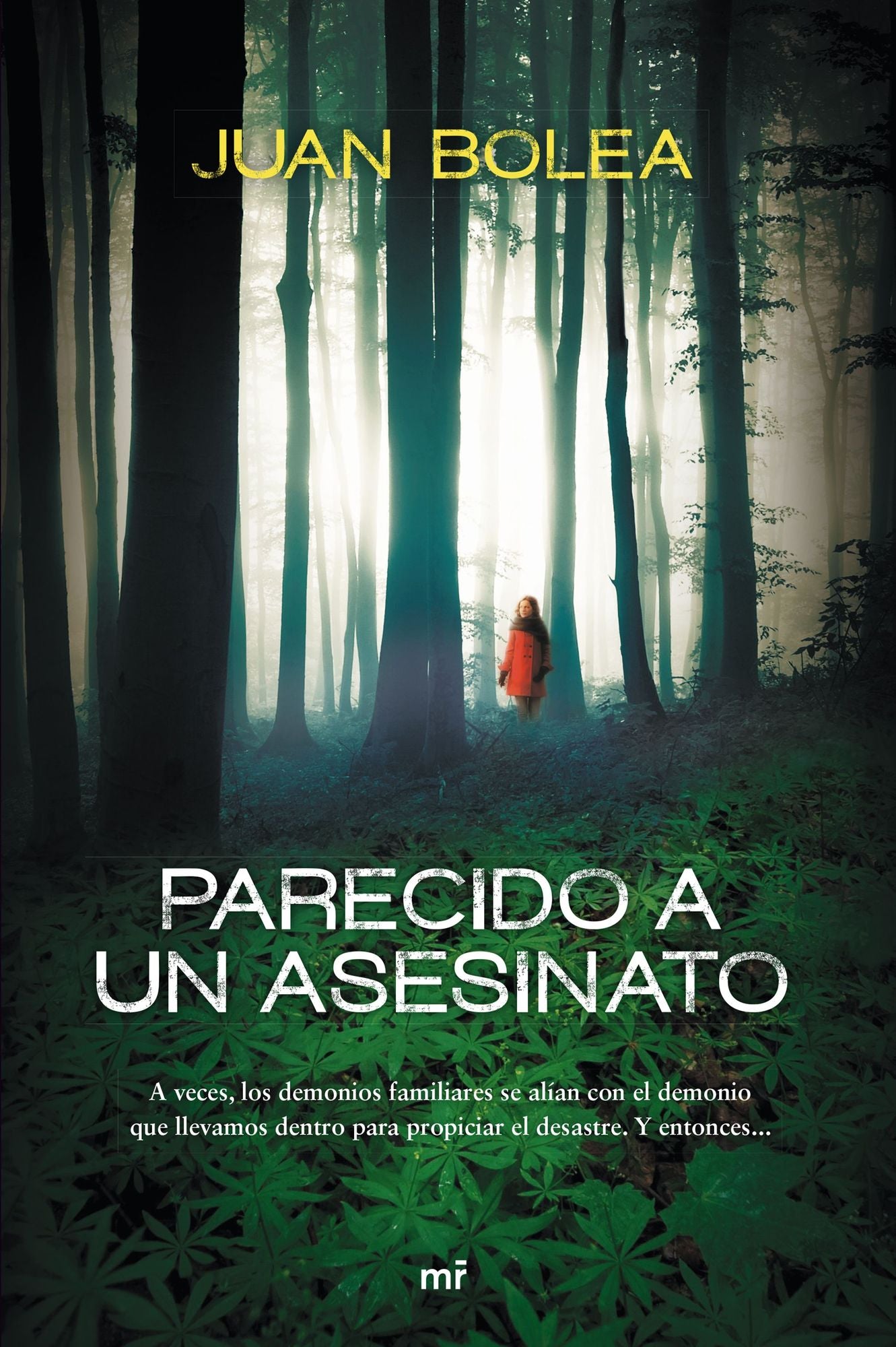 Parecido a un asesinato
