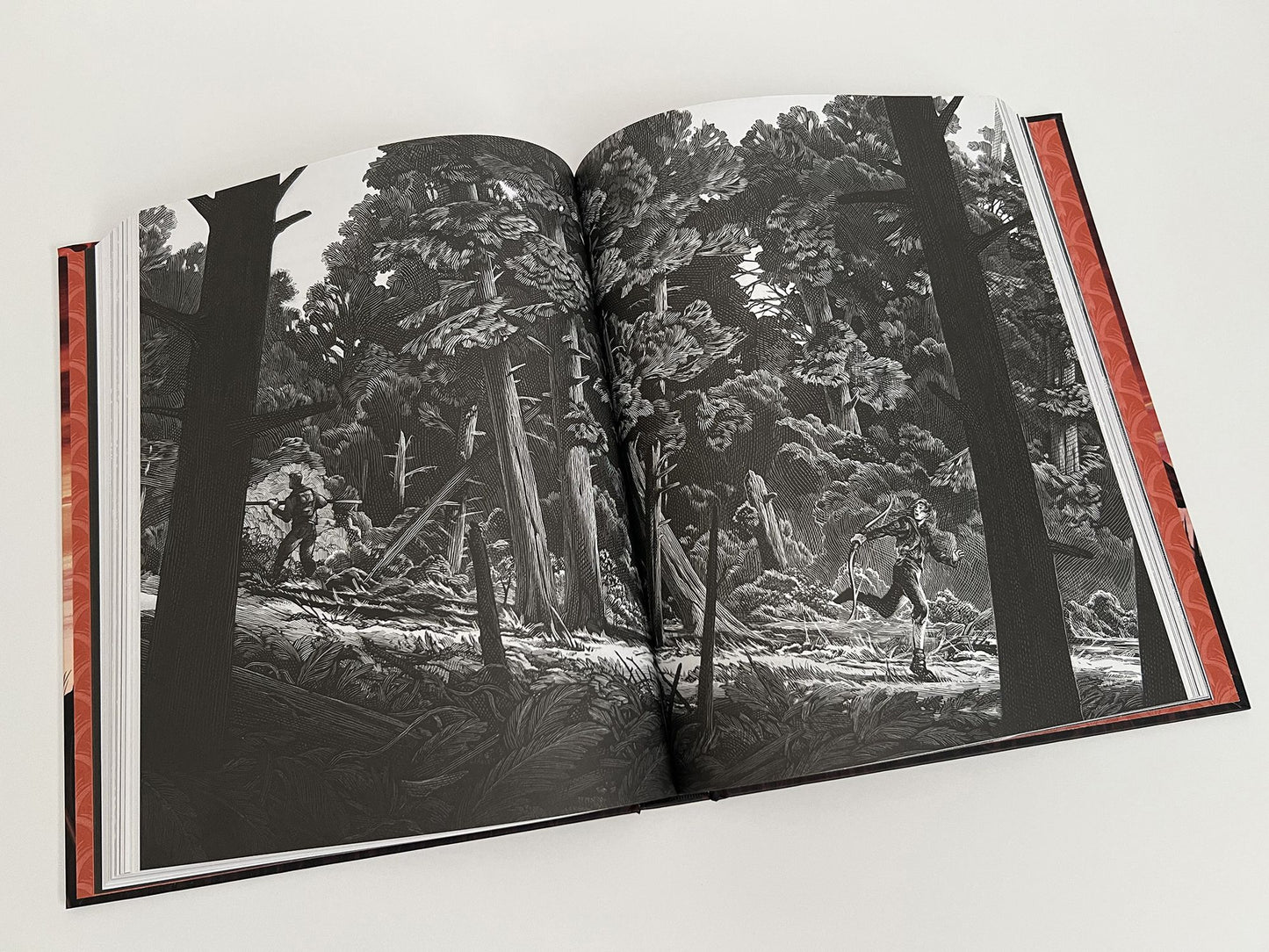 Los juegos del hambre (Edición ilustrada) / The Hunger Games: Illustrated Edition