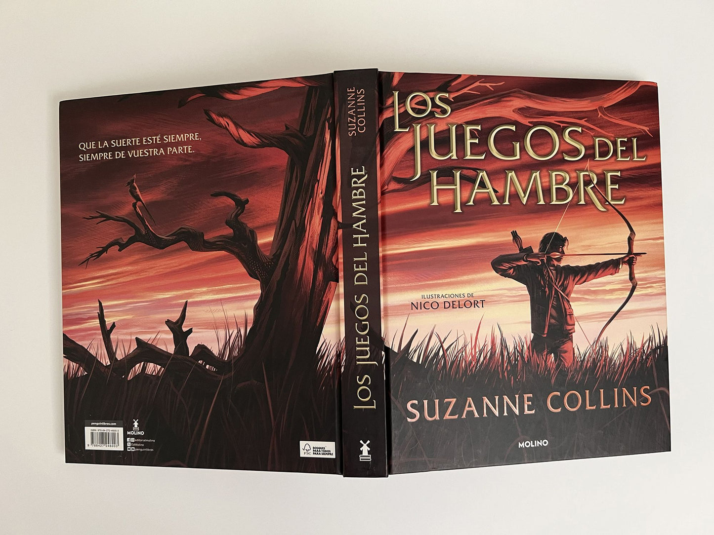 Los juegos del hambre (Edición ilustrada) / The Hunger Games: Illustrated Edition