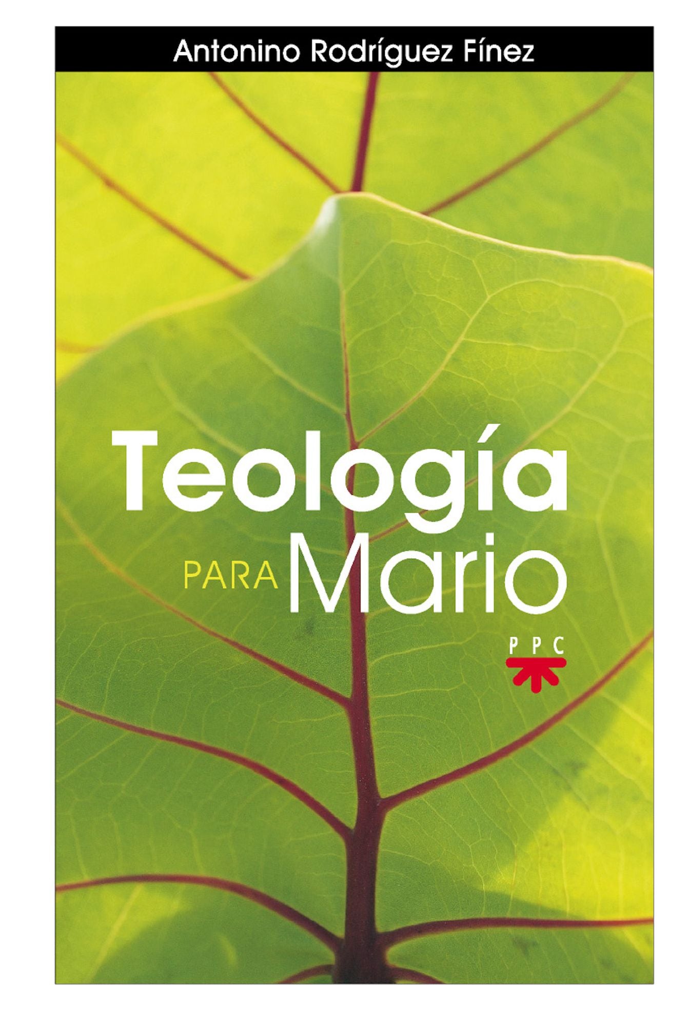 Teología para Mario (eBook-ePub)