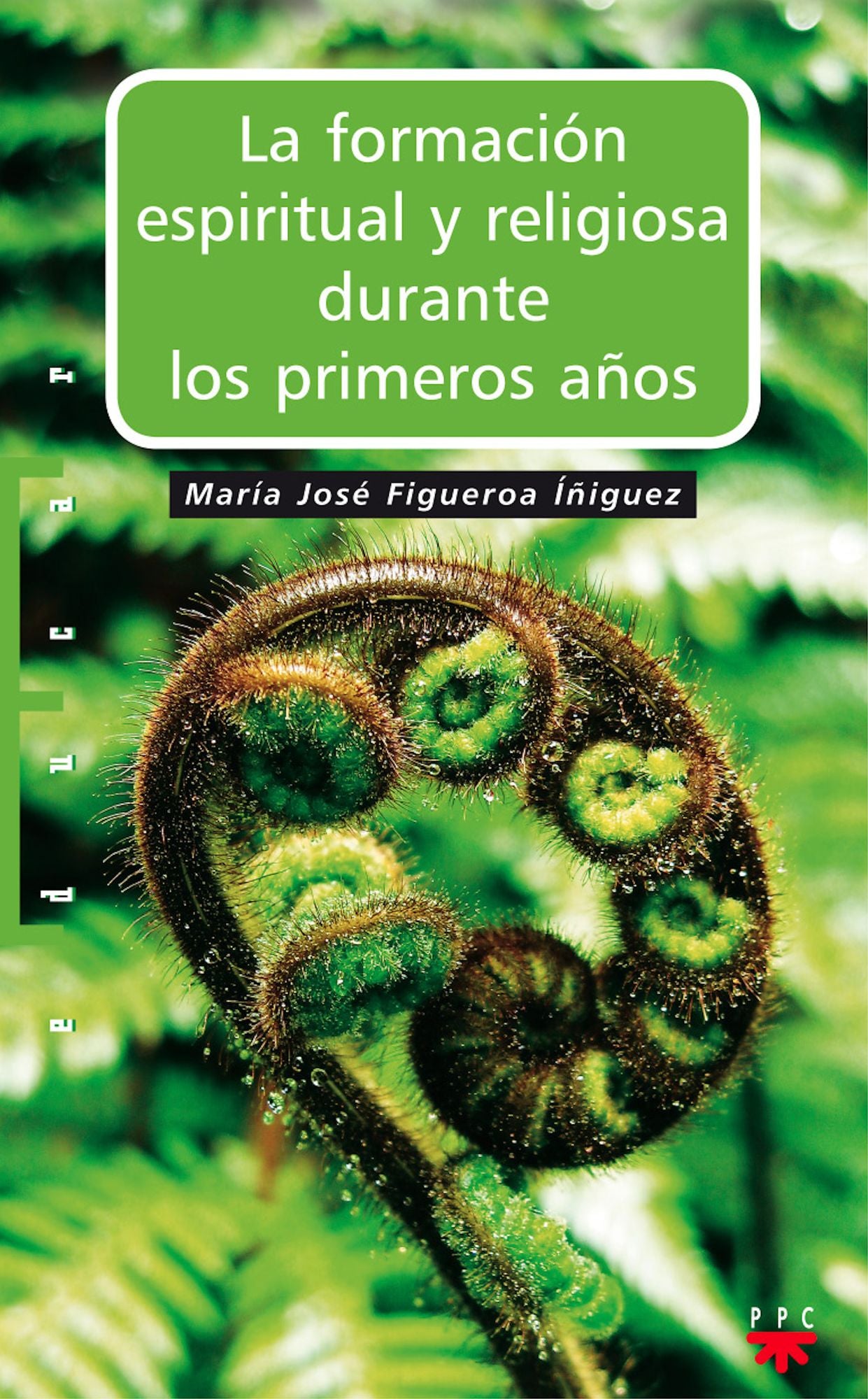 La formación espiritual y religiosa durante los primeros años (eBook-ePub)