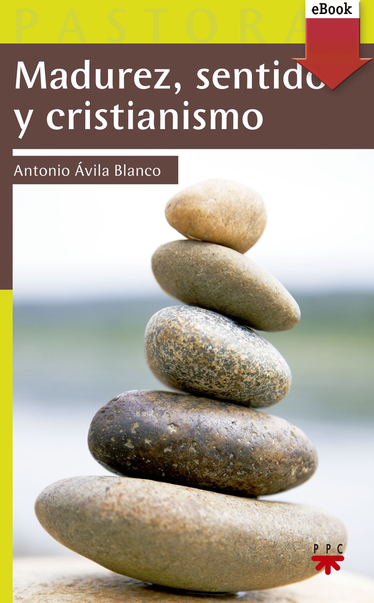 Madurez, sentido y cristianismo (eBook-ePub)