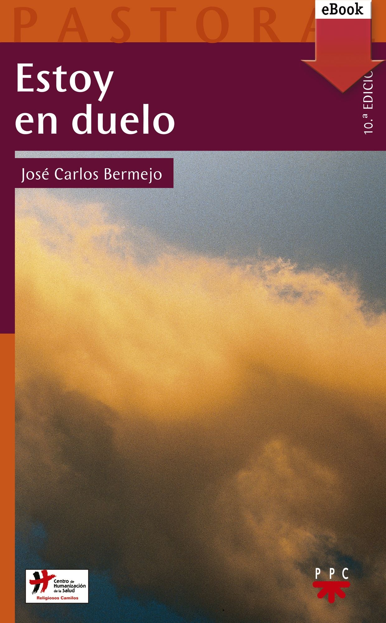 Estoy en duelo (eBook-ePub)