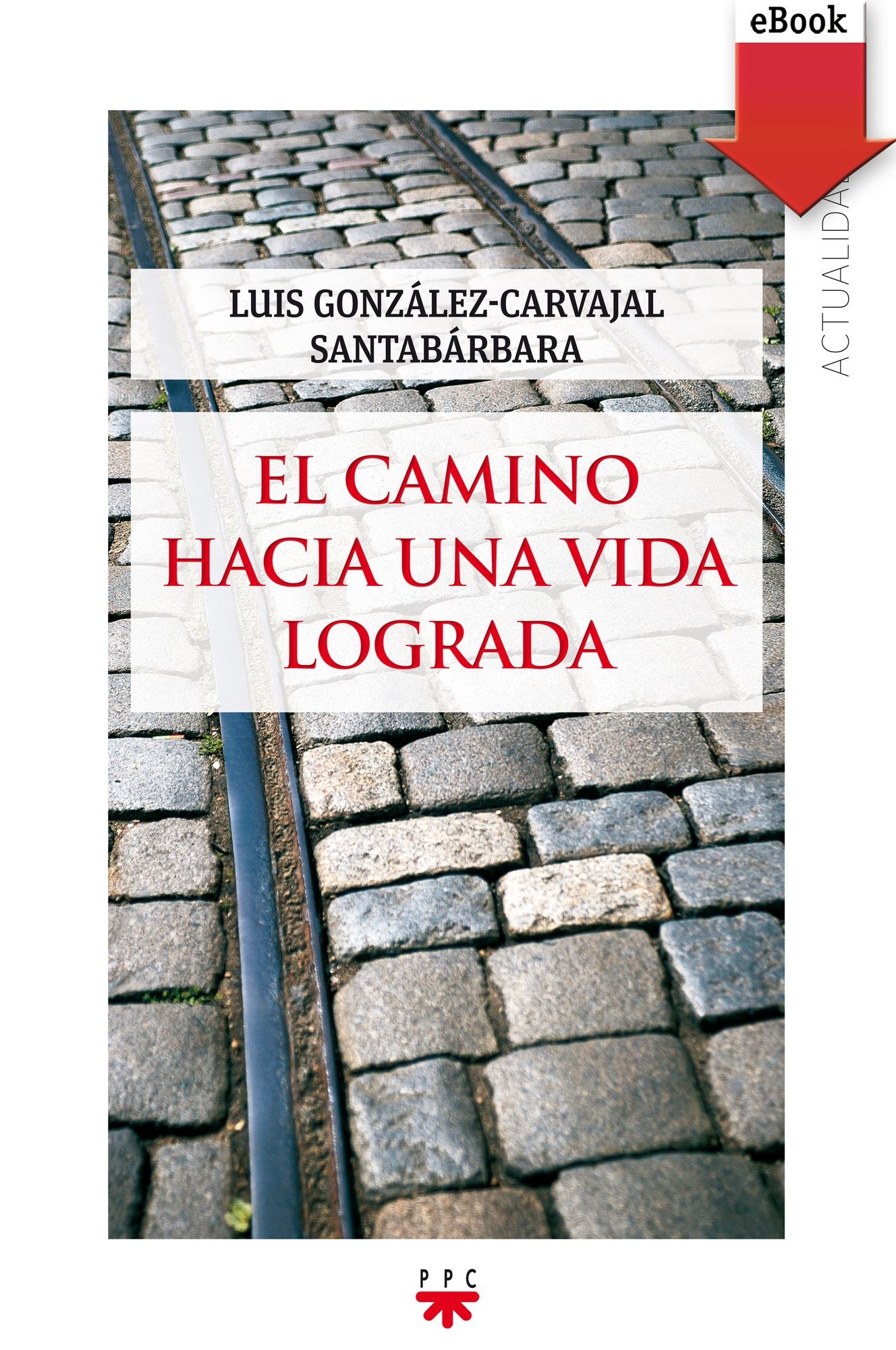 El camino hacia una vida lograda (eBook-ePub)