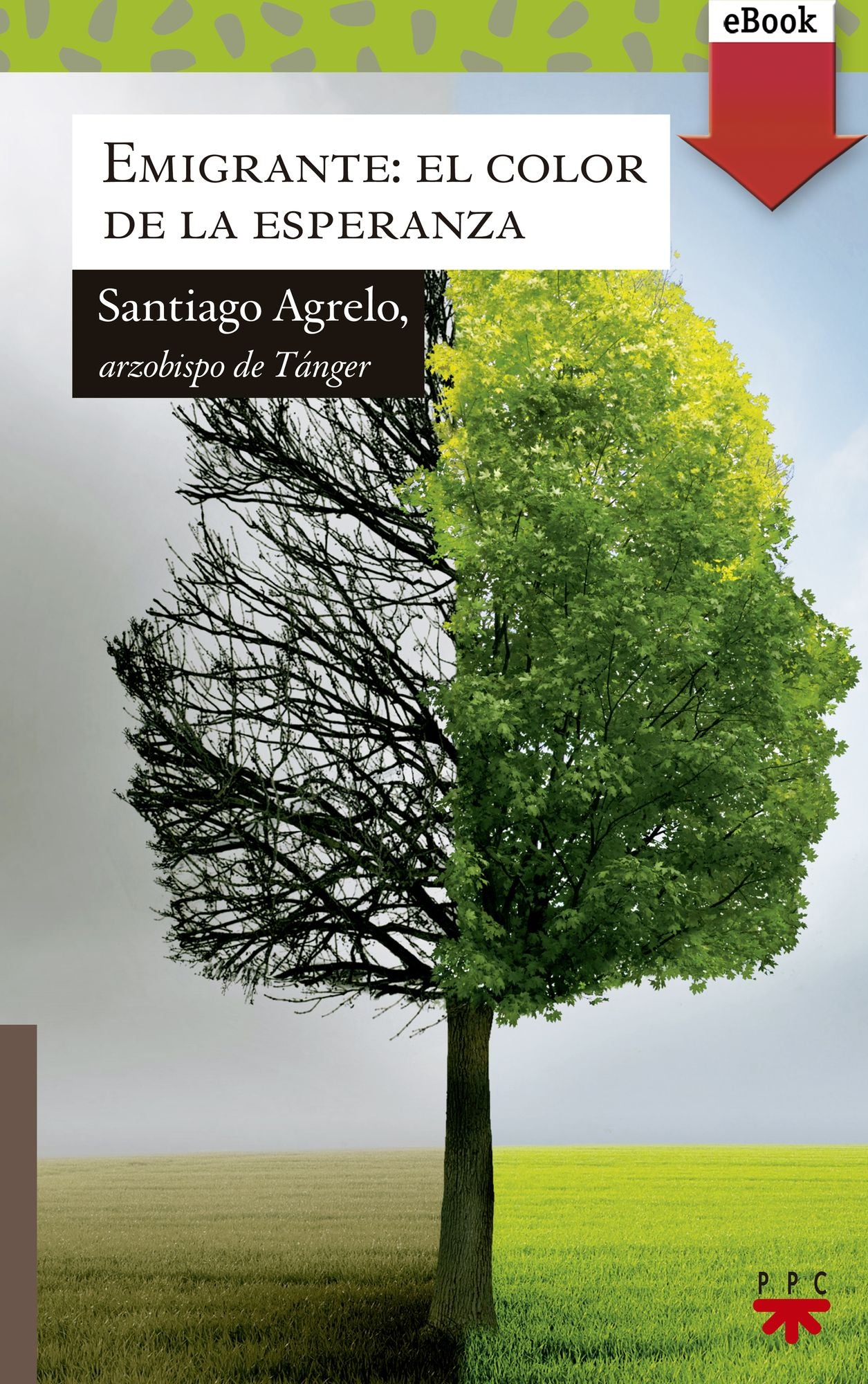 Emigrante: el color de la esperanza (eBook-ePub)