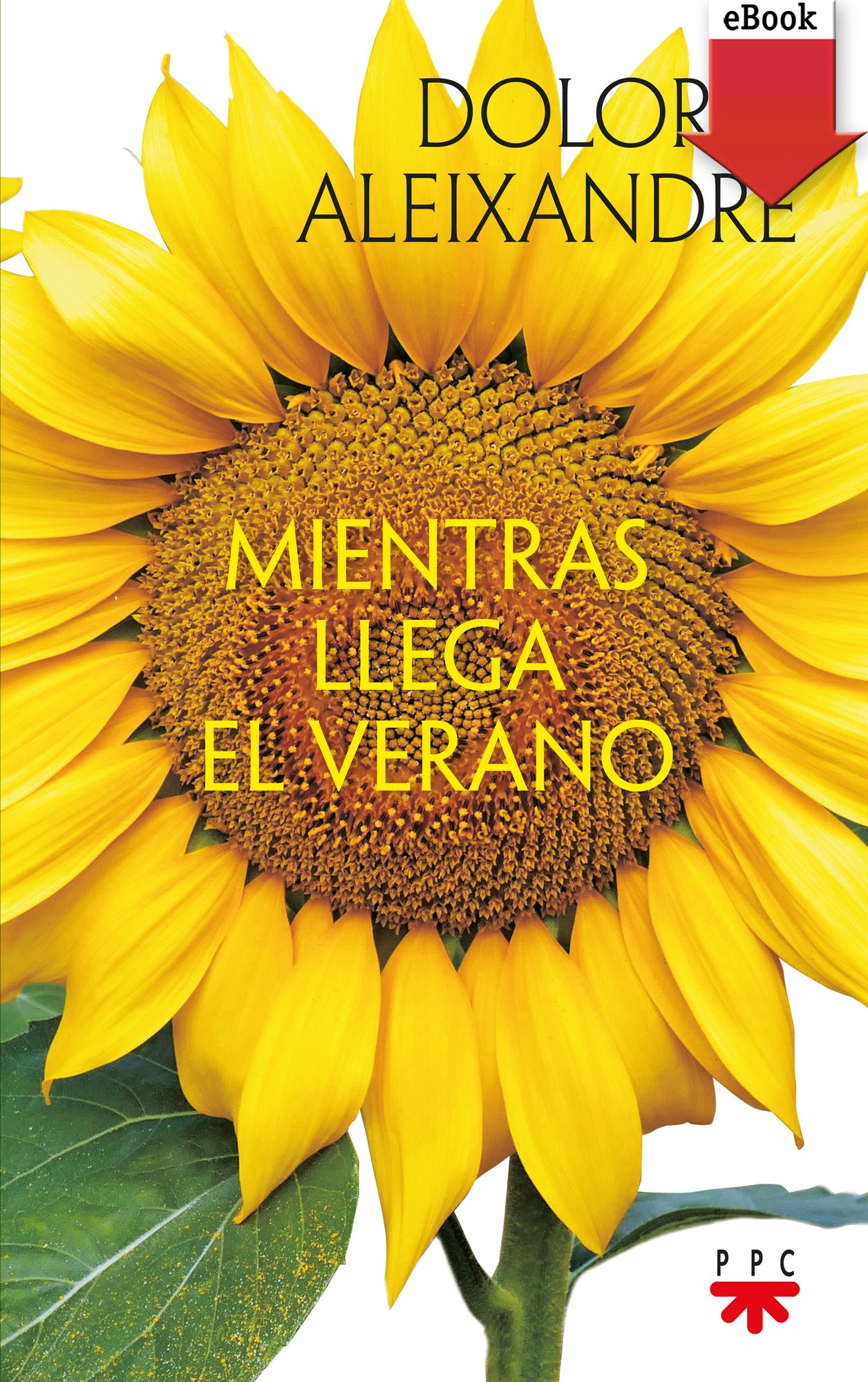 Mientras llega el verano (eBook-ePub)