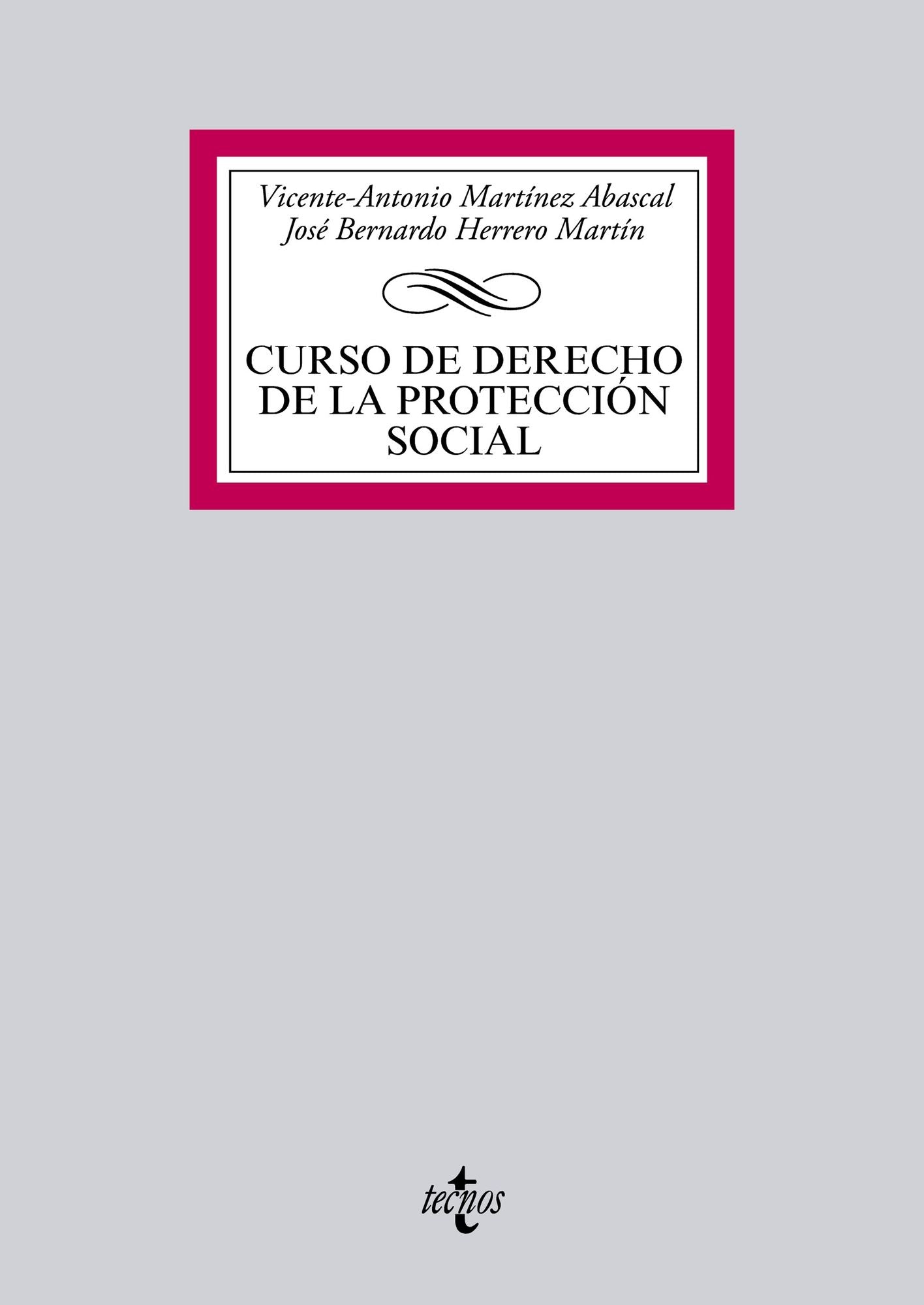 Curso de Derecho de la protección social