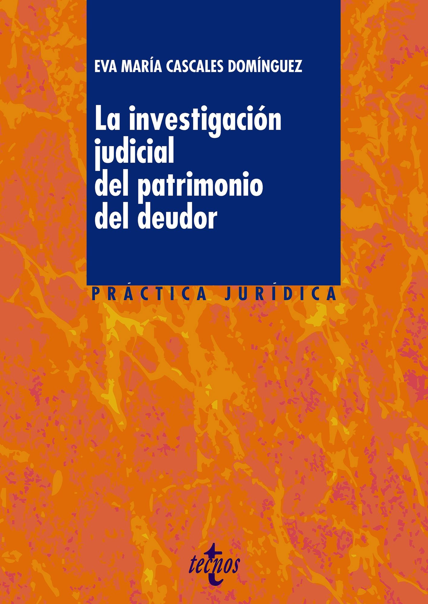 La investigación judicial del patrimonio del deudor