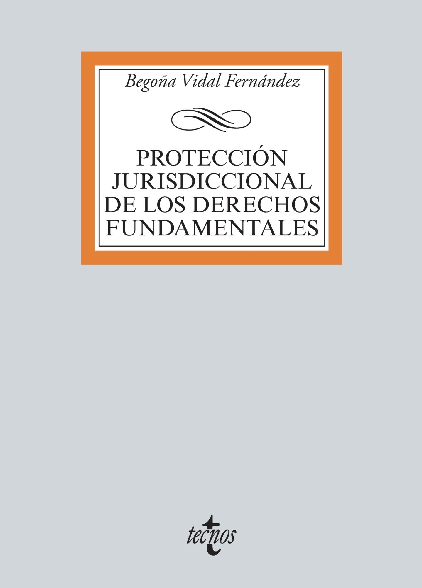 Protección jurisdiccional de los Derechos Fundamentales