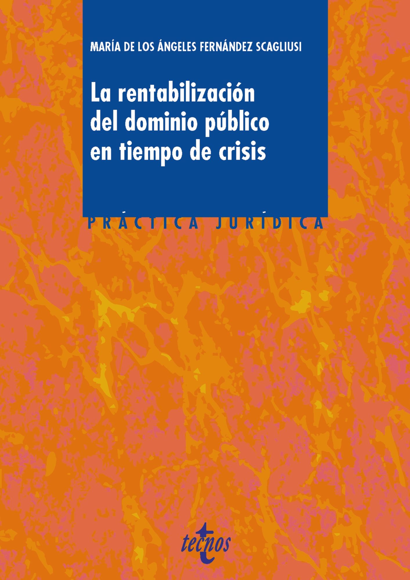 La rentabilización del dominio público en tiempos de crisis