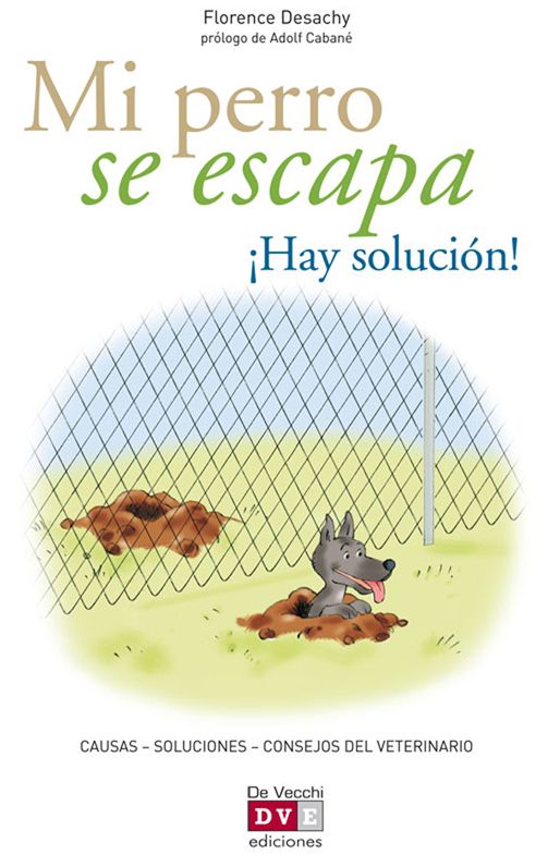 Mi perro se escapa ¡Hay solución!