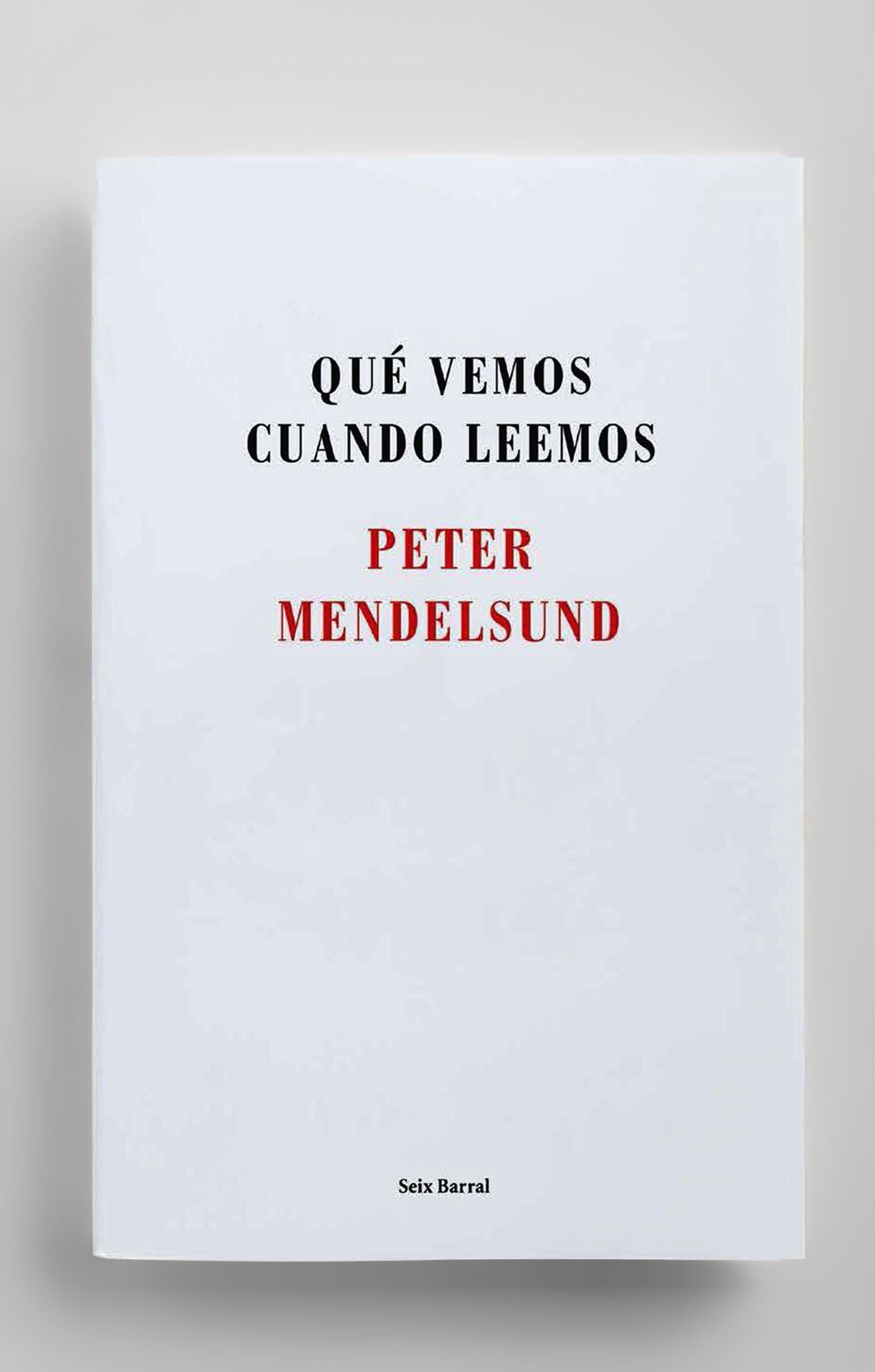 Qué vemos cuando leemos