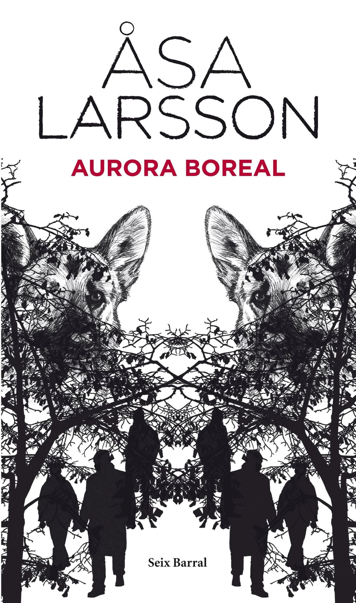 Aurora boreal
