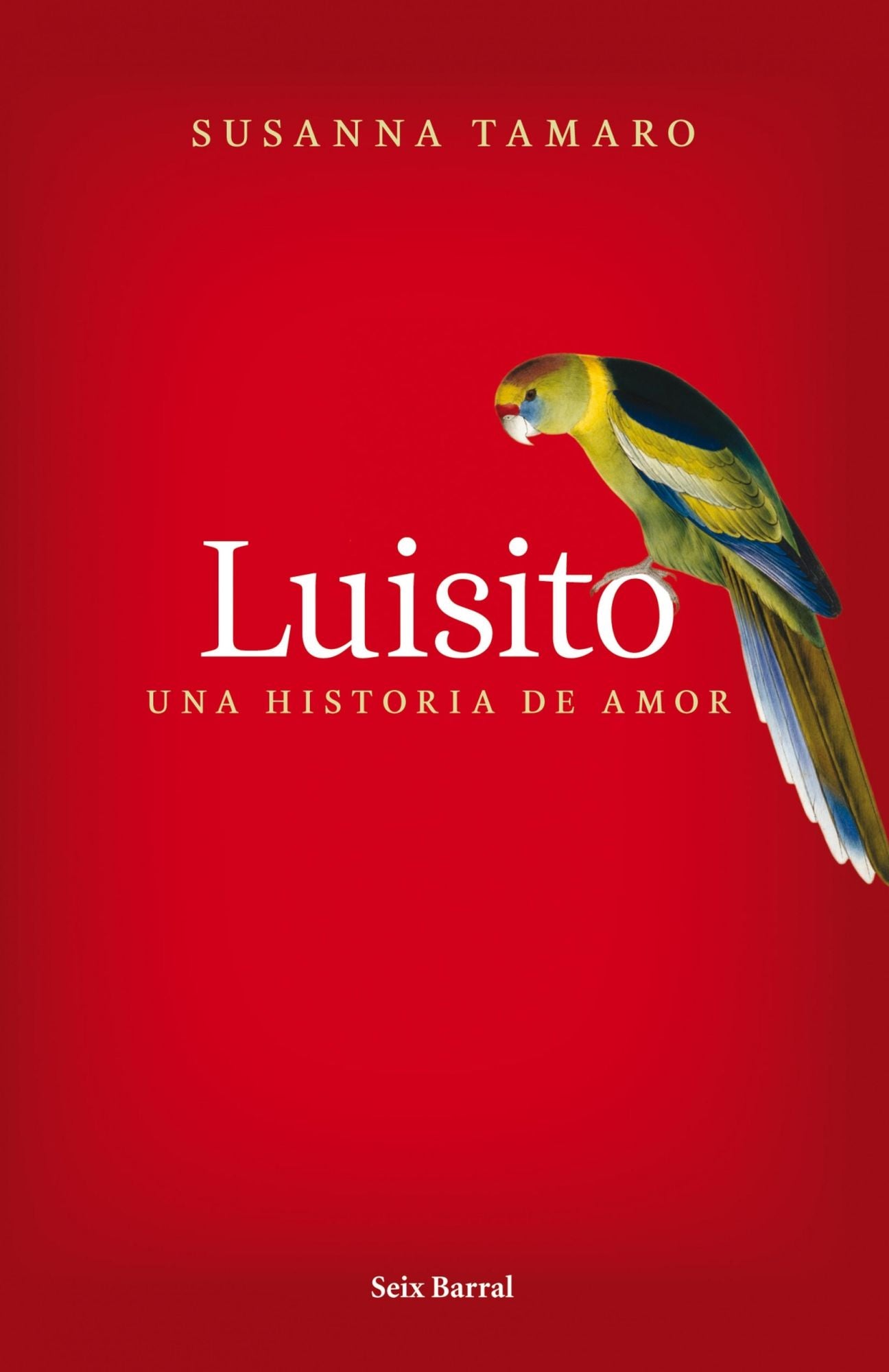 Luisito. Una historia de amor