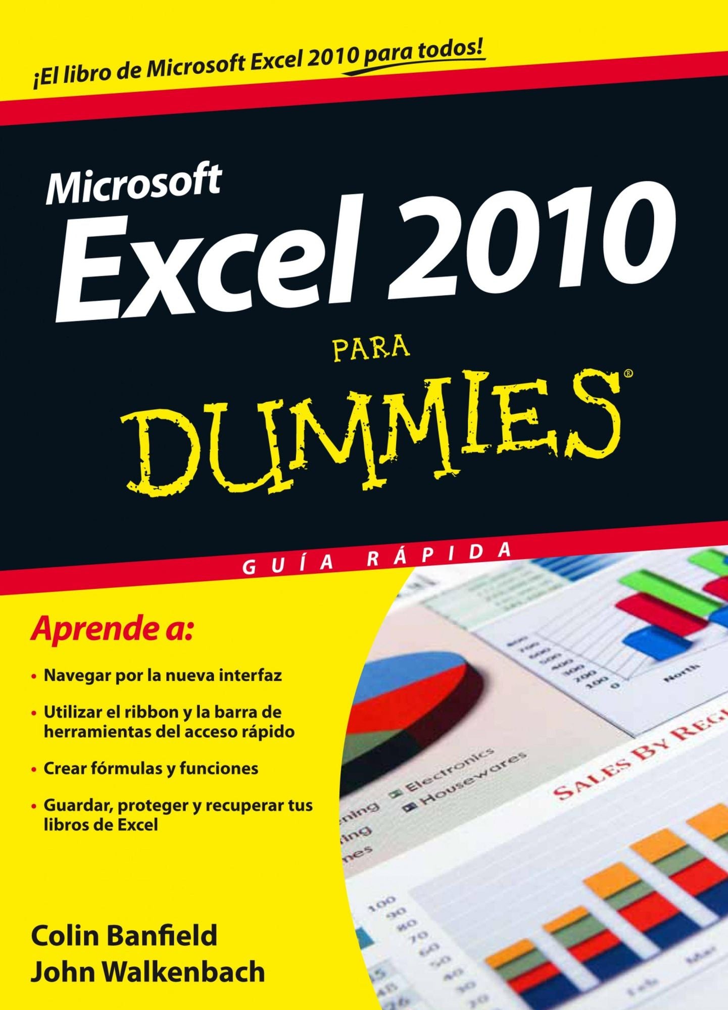 Excel 2010 para Dummies: Guía rápida