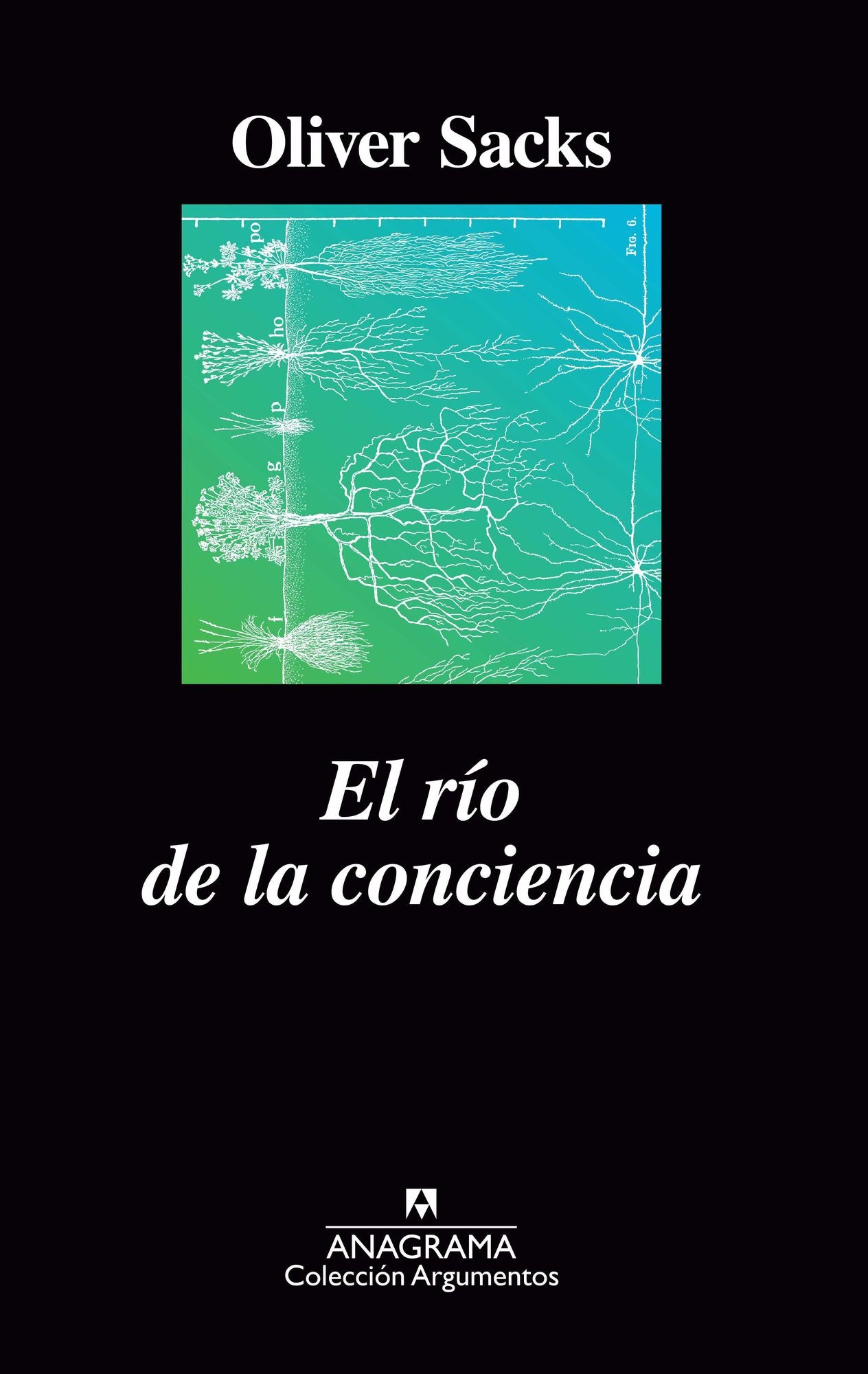 El r¡o de la conciencia / The River of Consciousness