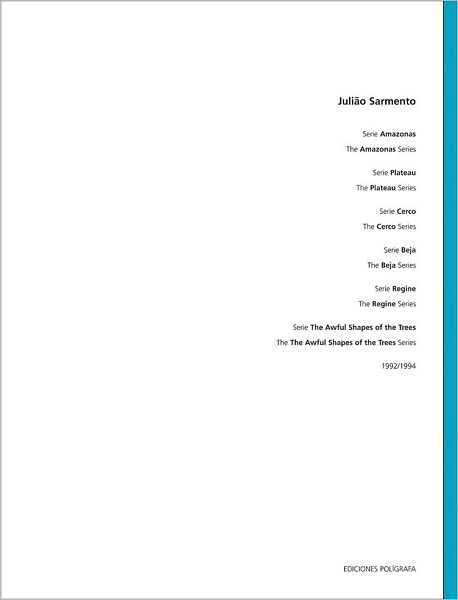 Juliao Sarmento: Series Volume 3