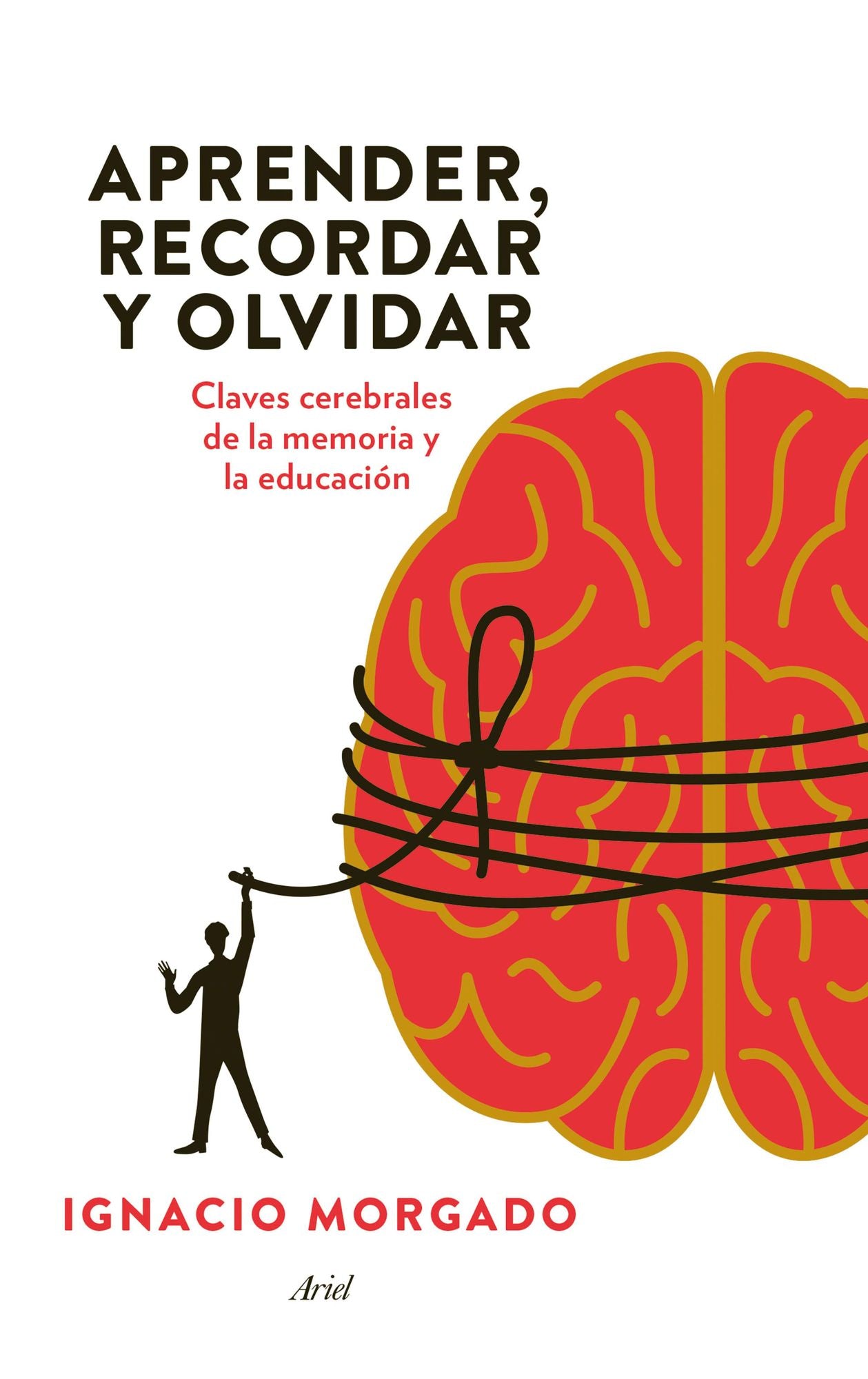 Aprender, recordar y olvidar: Claves cerebrales de la memoria y la educación