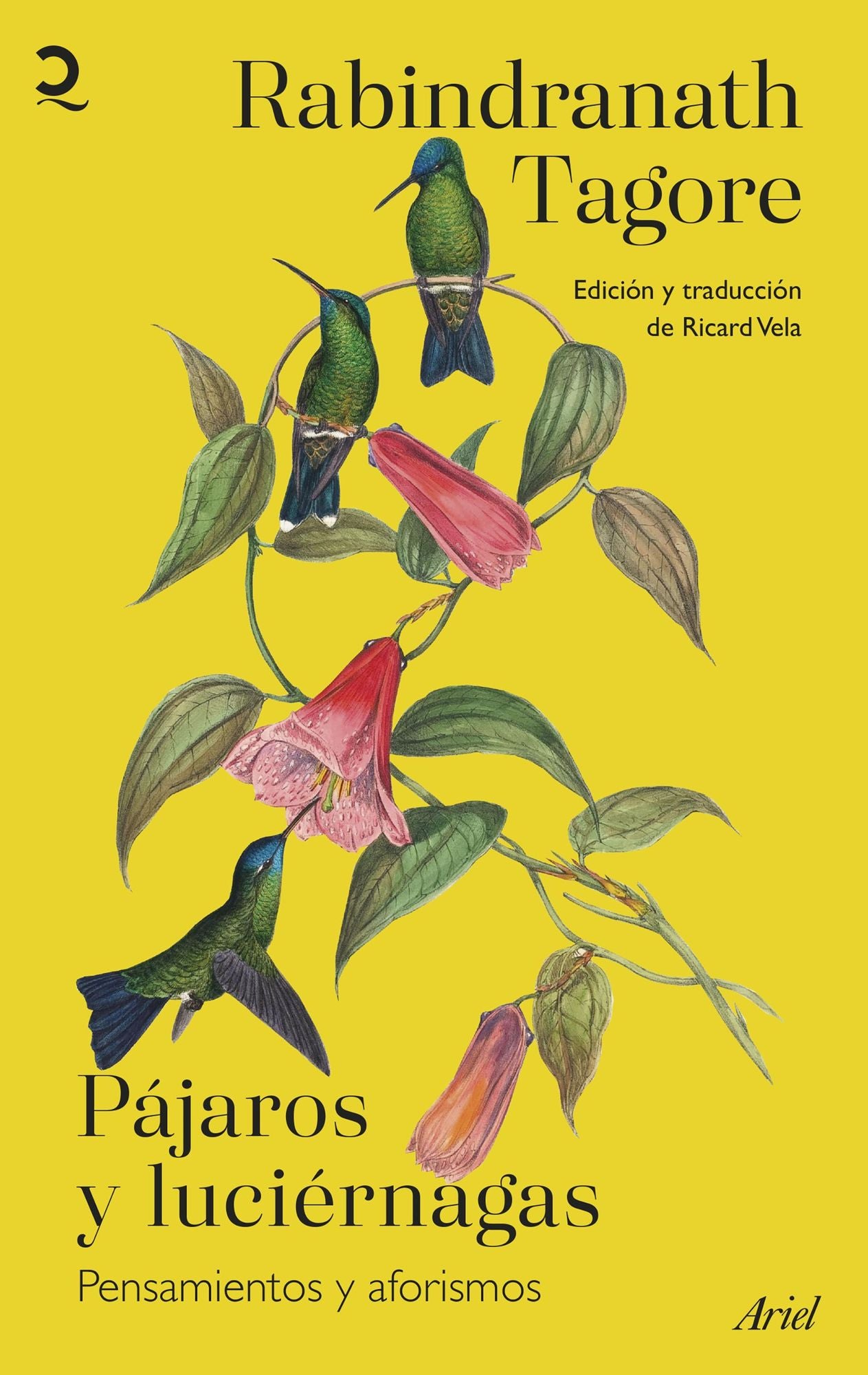 Pájaros y luciérnagas: Pensamientos y aforismos