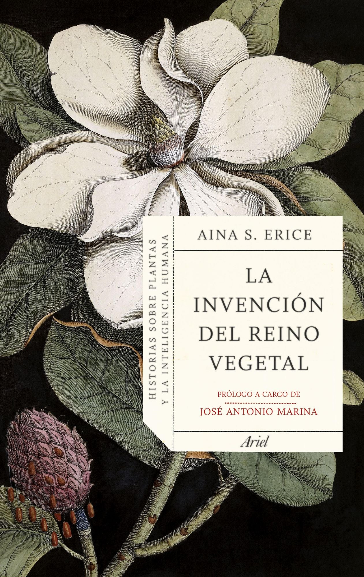 La invención del reino vegetal: Historias sobre plantas y la inteligencia humana