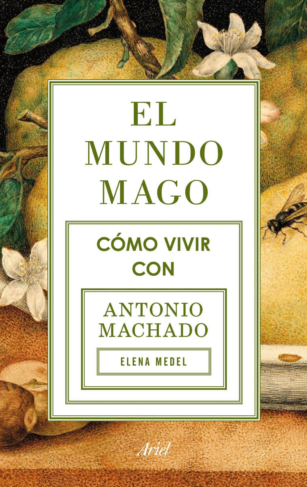El mundo mago: Cómo vivir con Antonio Machado