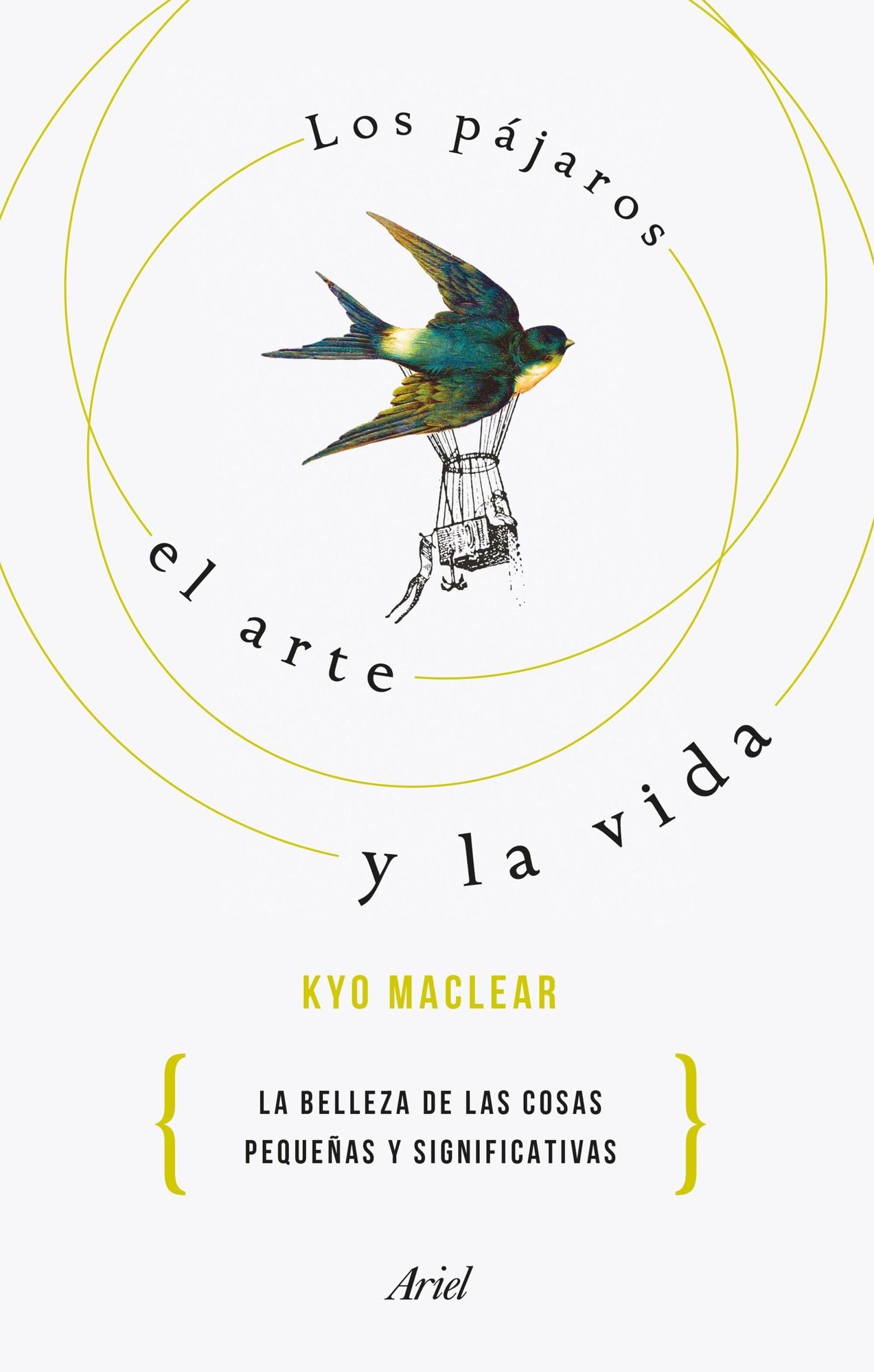 Los pájaros, el arte y la vida: La belleza de las cosas pequeñas y significativas