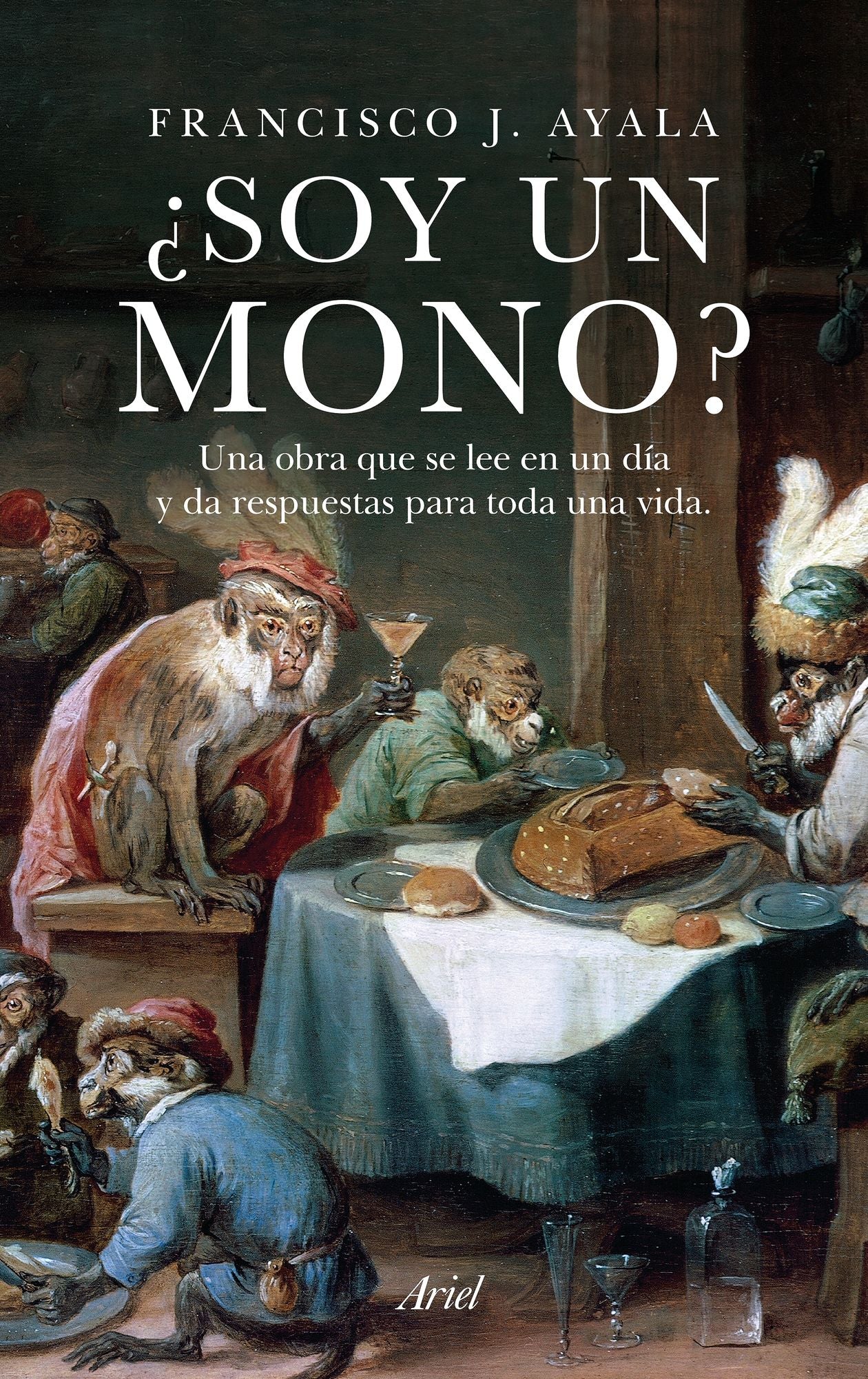 Soy un mono?