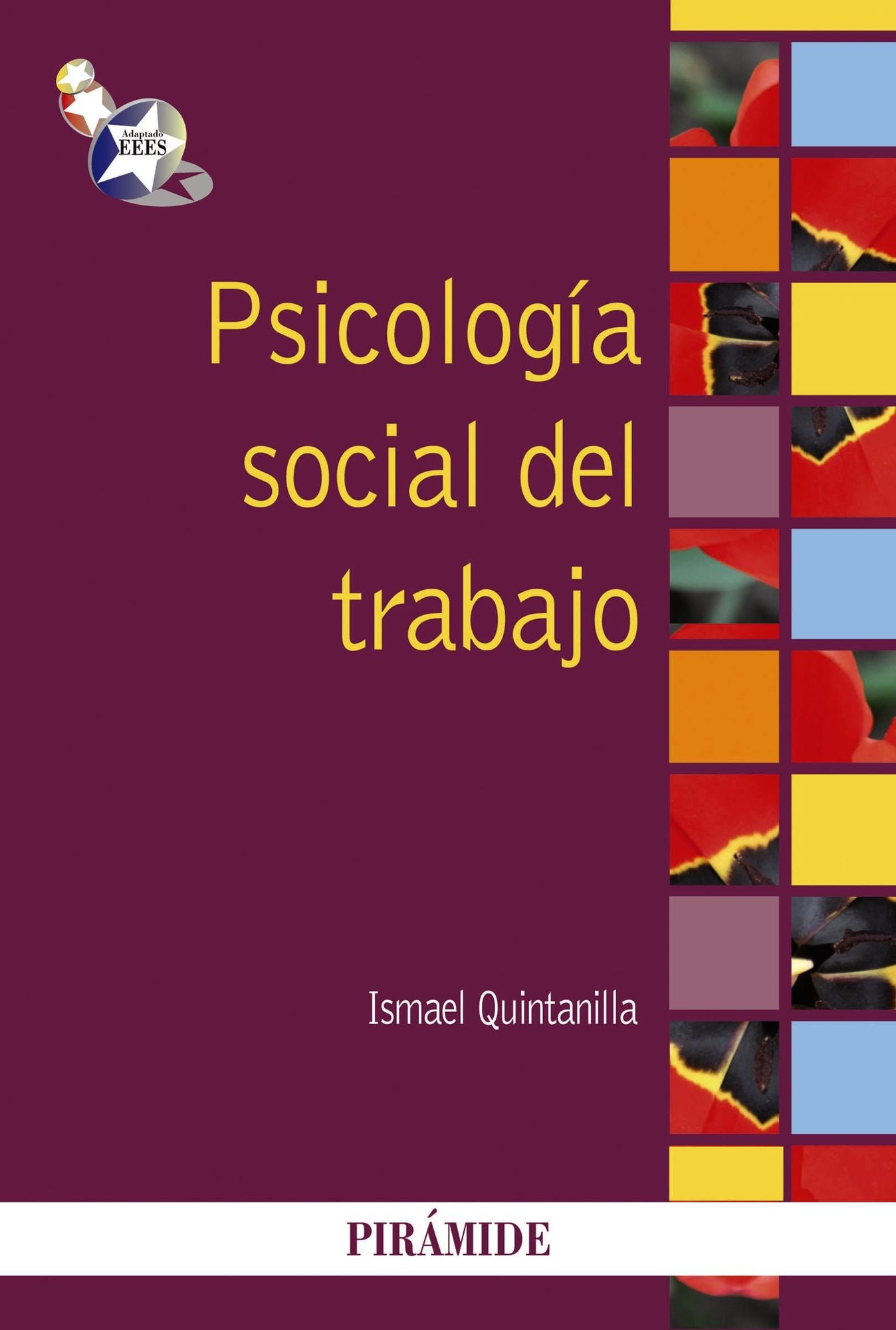 Psicología social del trabajo