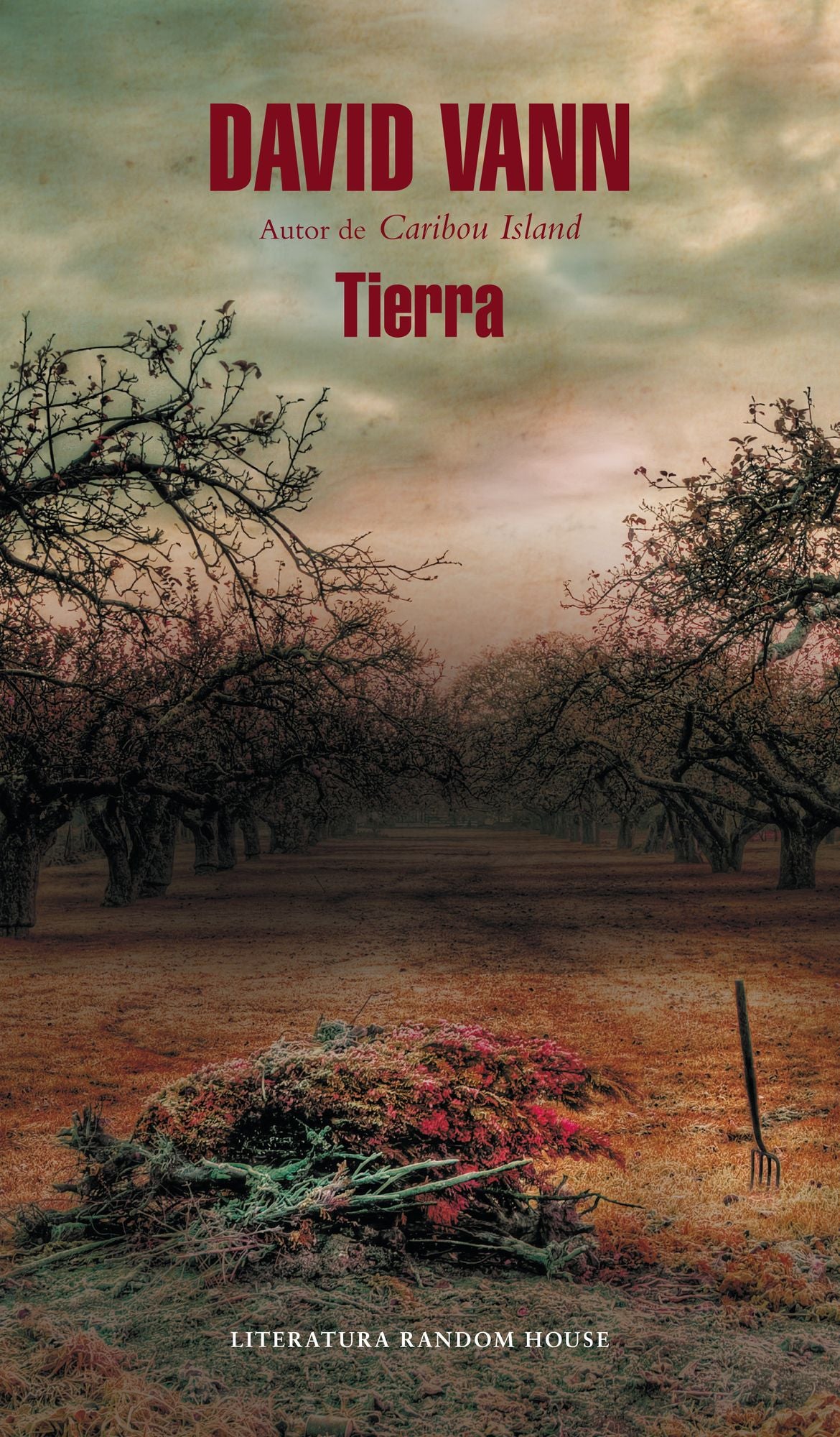 Tierra