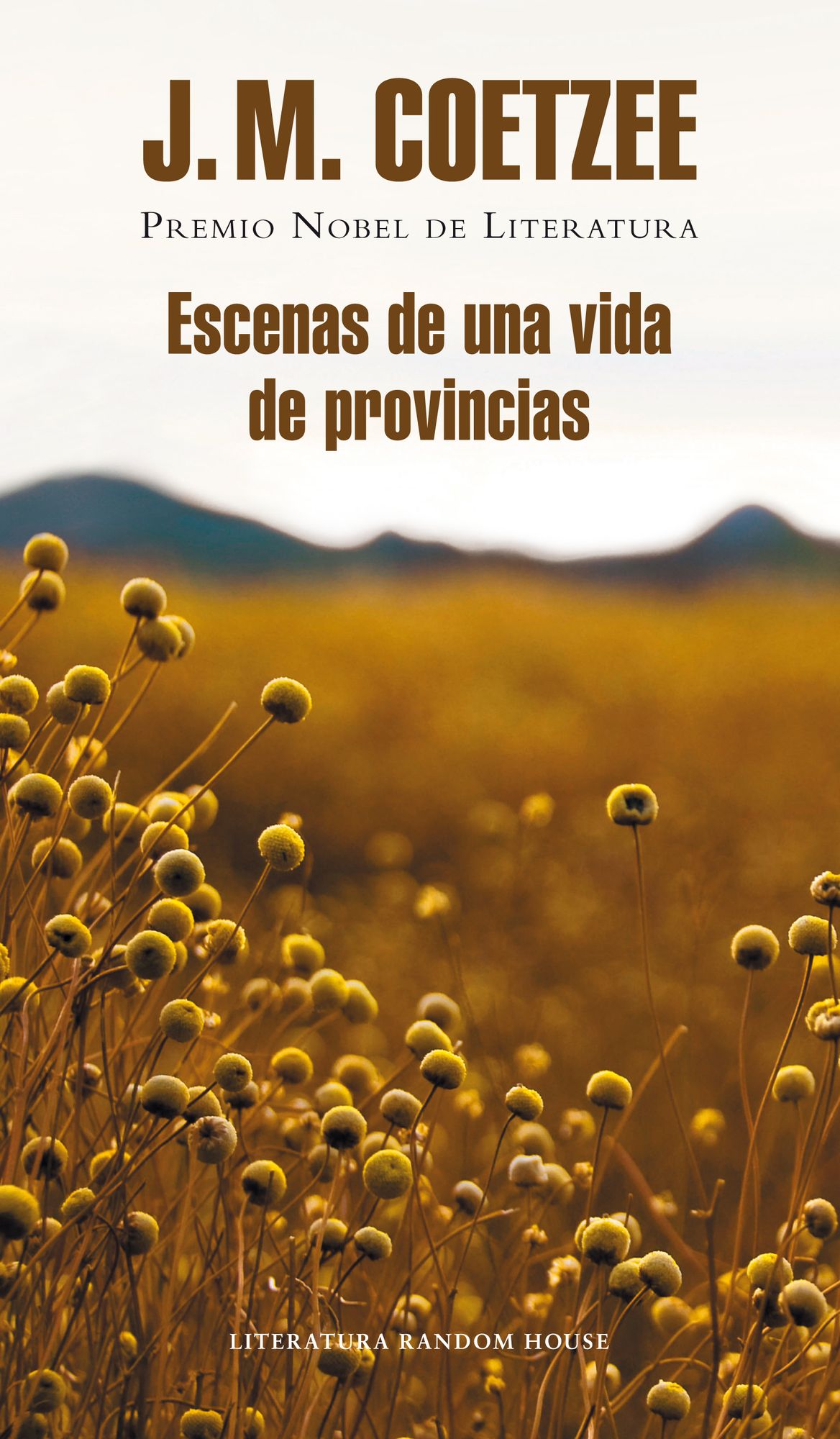 Escenas de una vida de provincias (Scenes from Provincial Life: Boyhood, Youth, Summertime)
