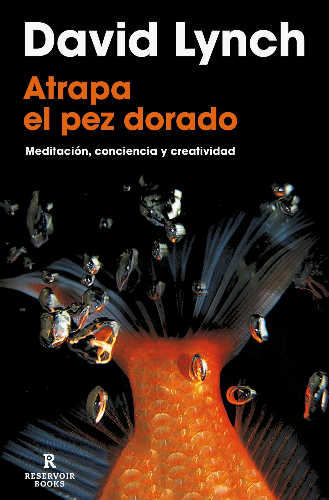 Atrapa el pez dorado: Meditación, conciencia y creatividad