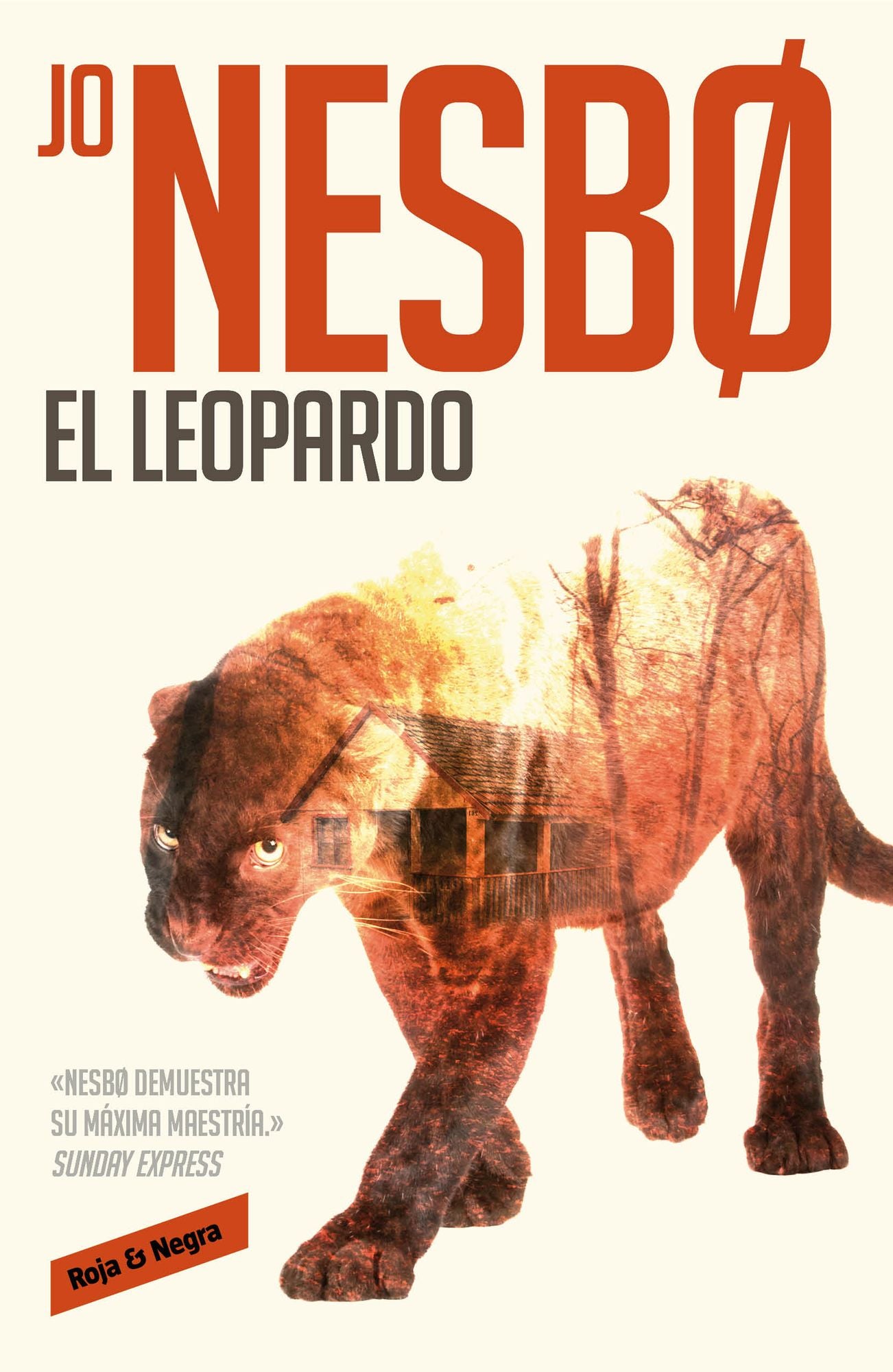 El leopardo (The Leopard) (Harry Hole 8)