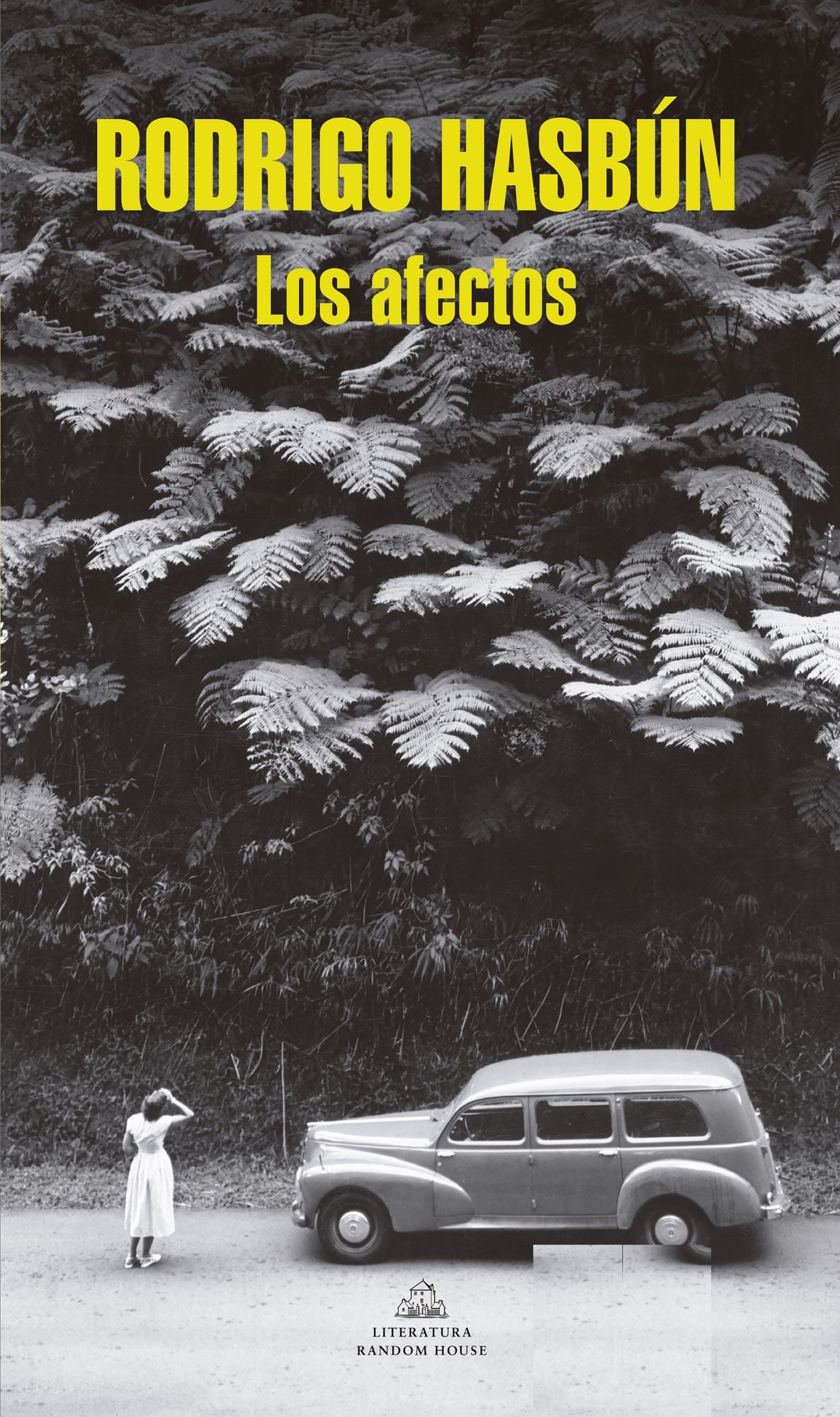 Los afectos