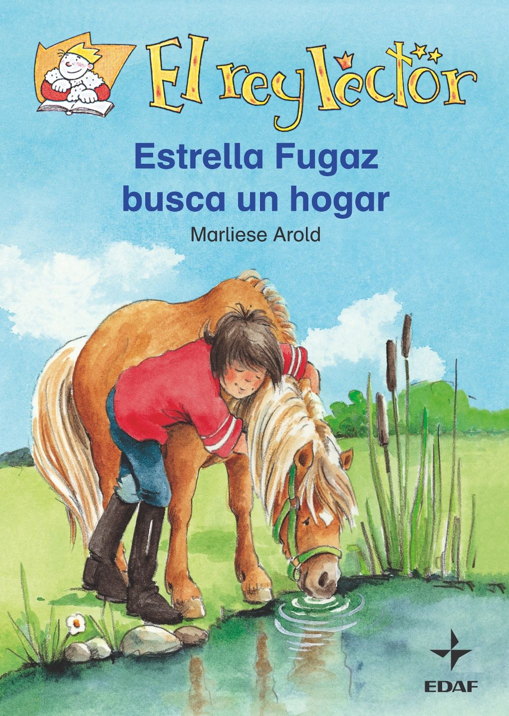 Historia De Detectives