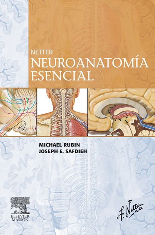 Netter. Neuroanatomía esencial