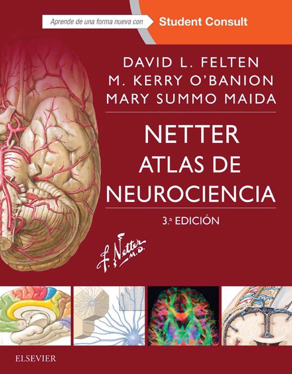 Netter. Atlas de neurociencia + StudentConsult