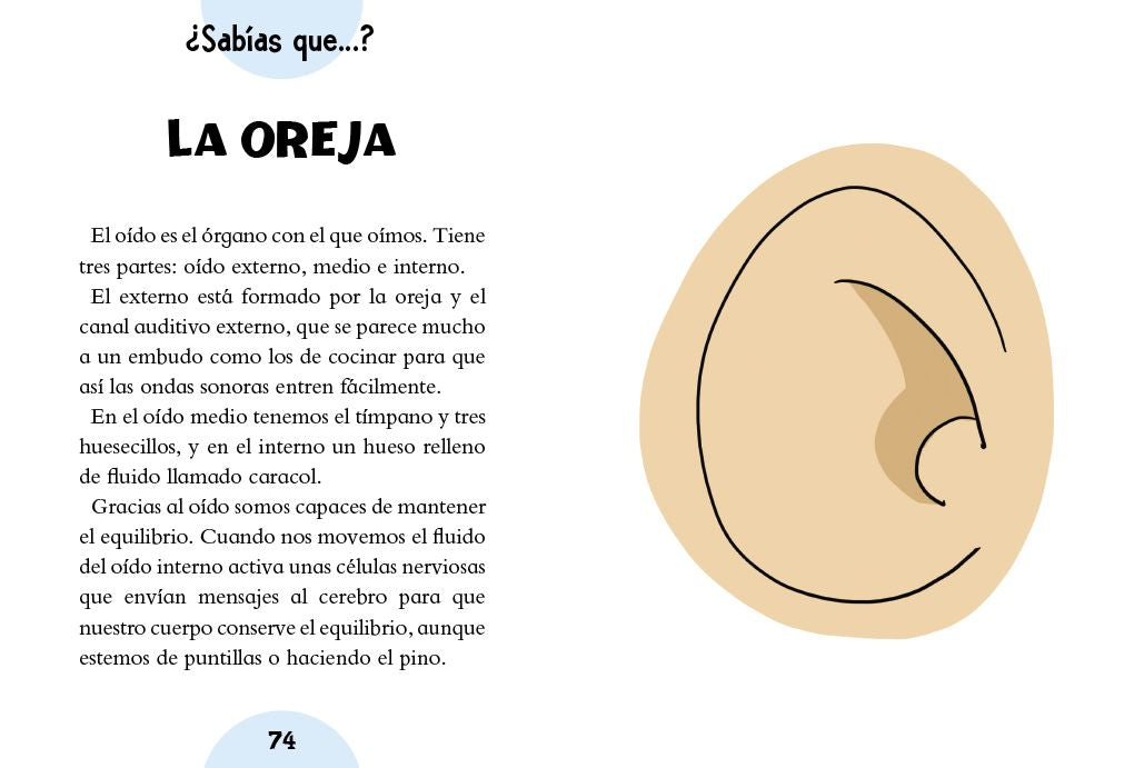 Adivinanzas para leer antes de dormir