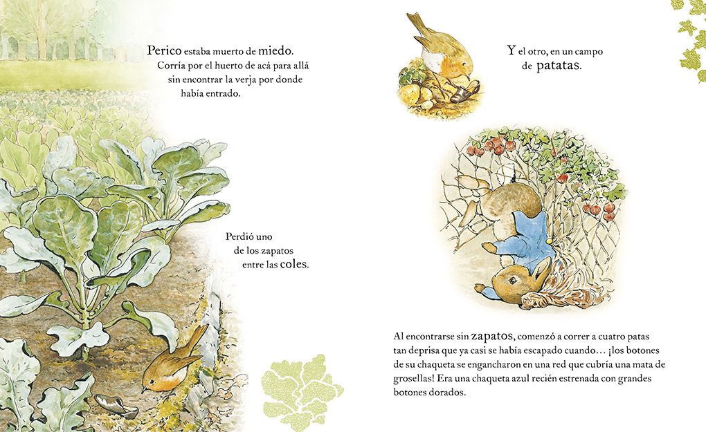 El cuento de Perico el Conejo (Ed. 120 aniversario) / The Tale of Peter Rabbit ( 120th Anniversary Edition)
