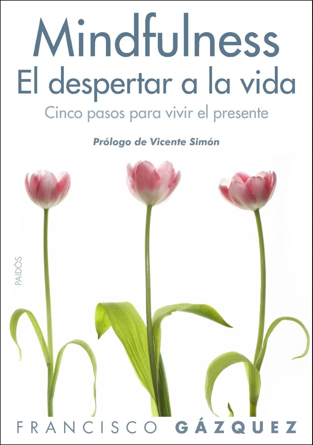 Mindfulness. El despertar a la vida: Cinco pasos para vivir el presente