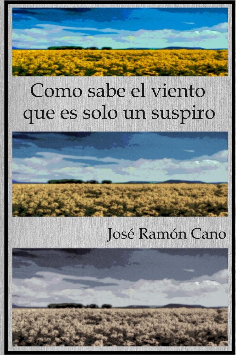 Como sabe el viento que es solo un suspiro