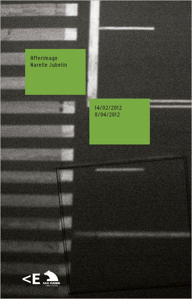 Afterimage: Narelle Jubelin 14:02:12 / 08:04:12