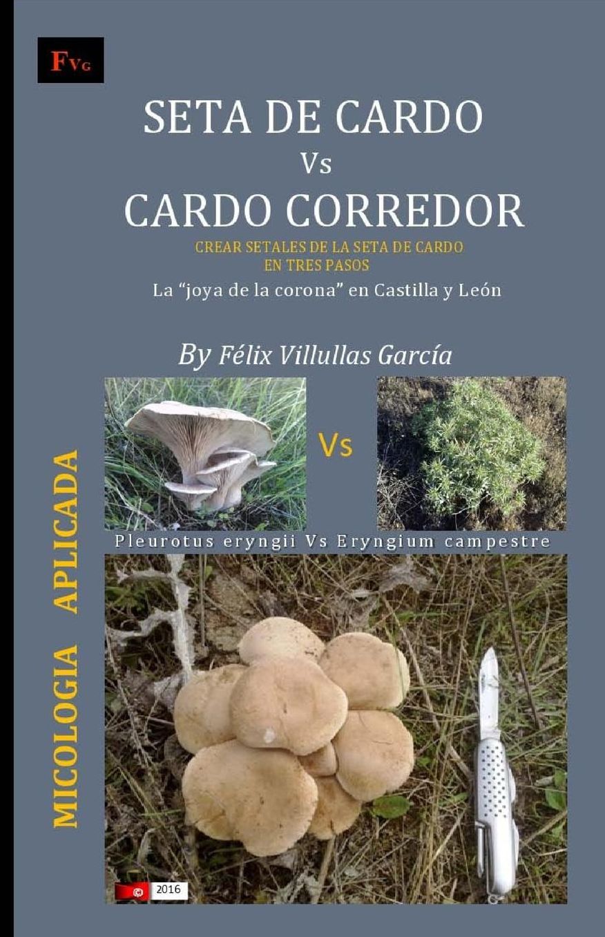 Seta de cardo Vs Cardo corredor: Crear "setales" de la seta de cardo en su habitat natural. La "joya de la corona" en Castilla y Leon