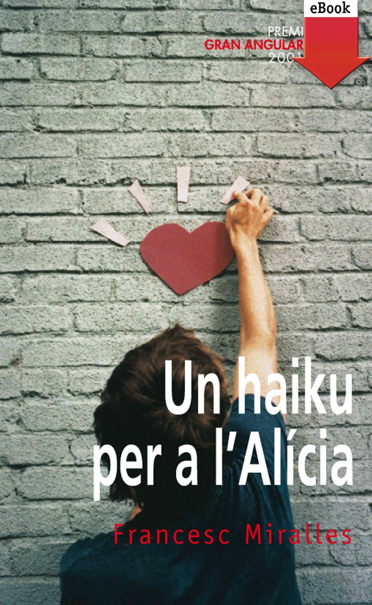 Un haiku per a l'Alicia (eBook-ePub)