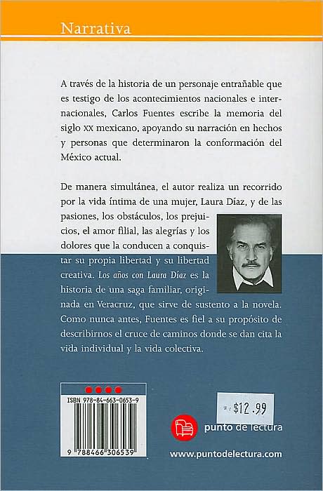 Los años con Laura Díaz (The Years with Laura Diaz)