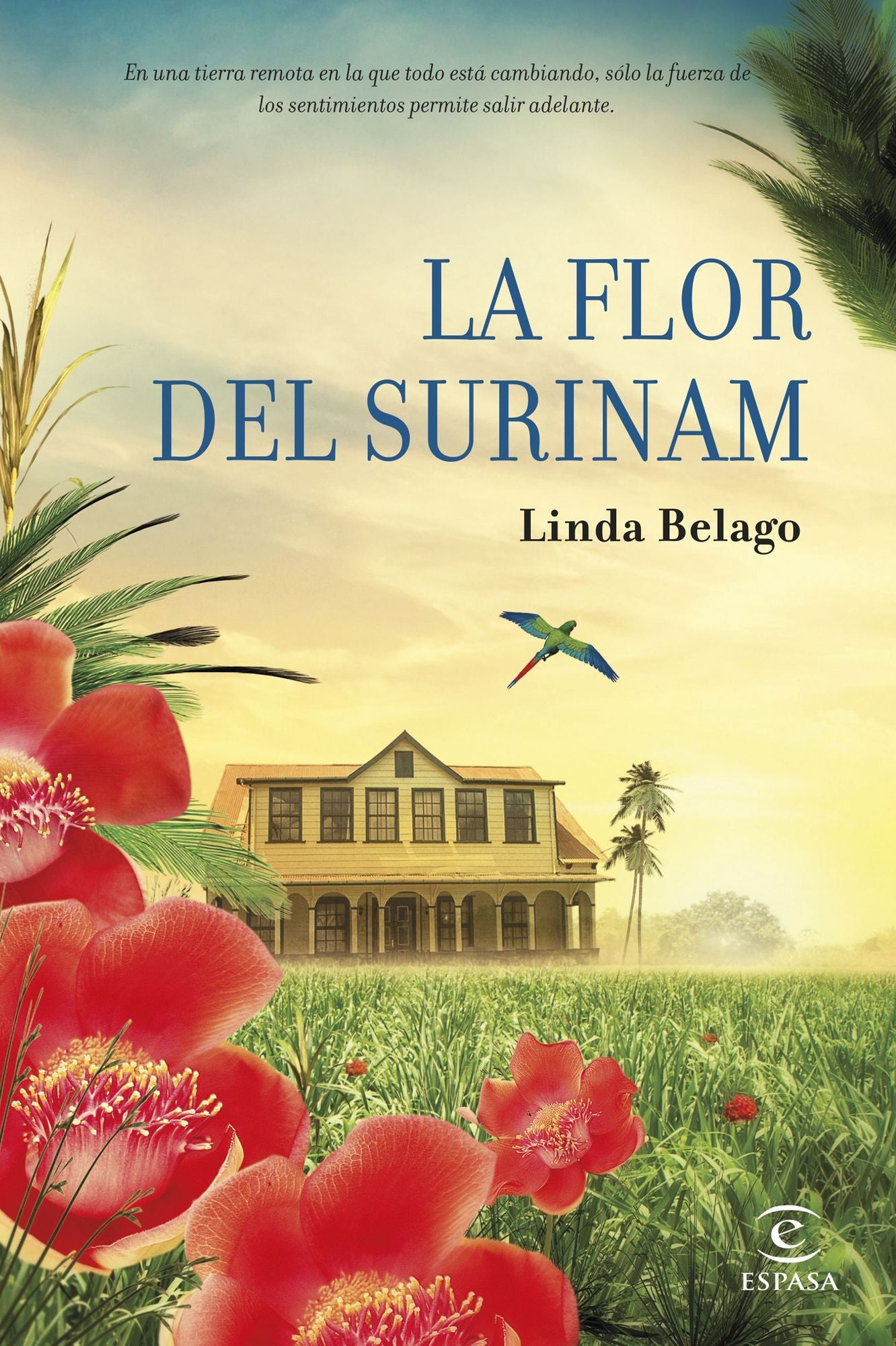 La flor del Surinam