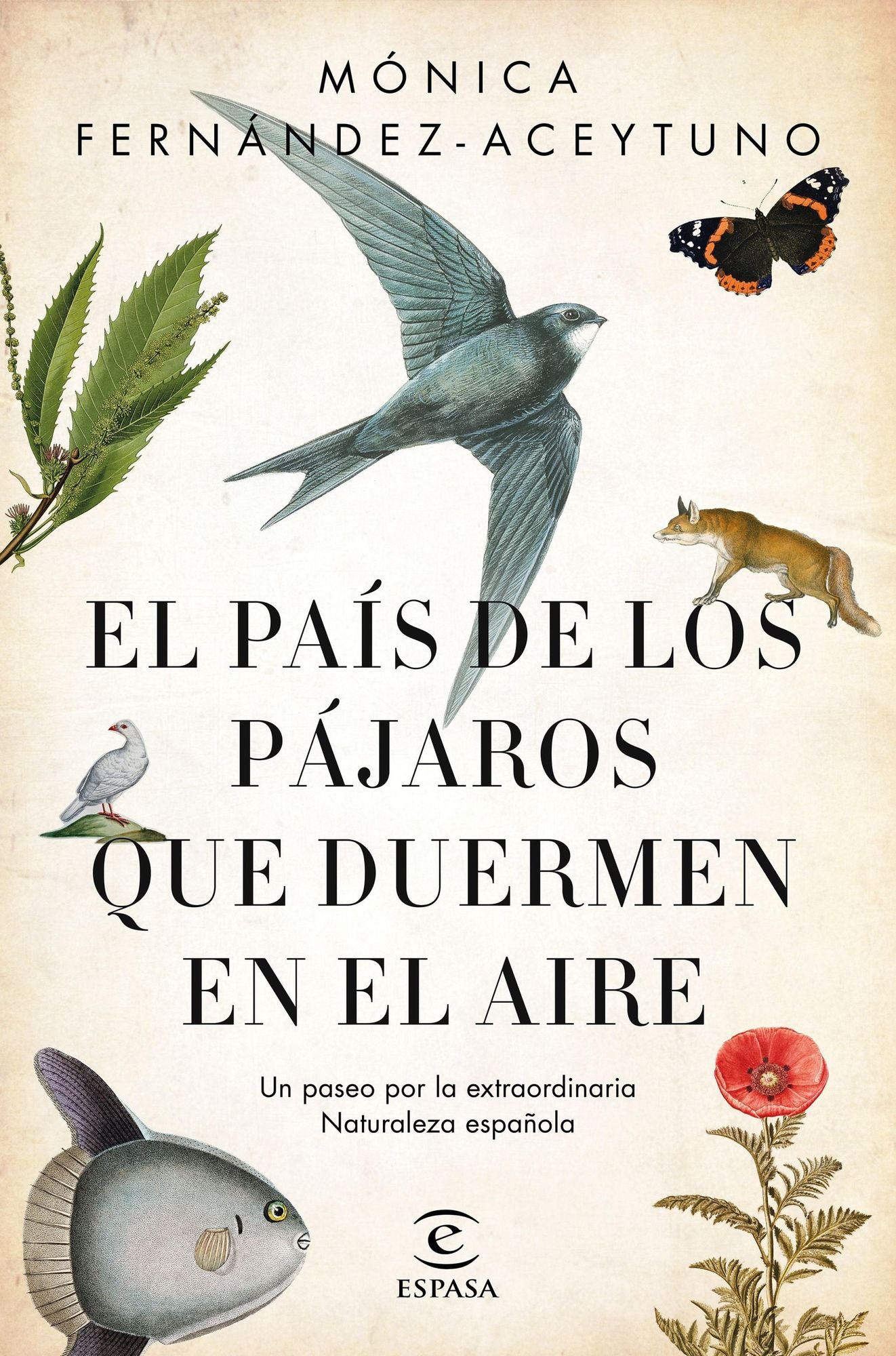 El país de los pájaros que duermen en el aire: Un paseo por la extraordinaria Naturaleza española