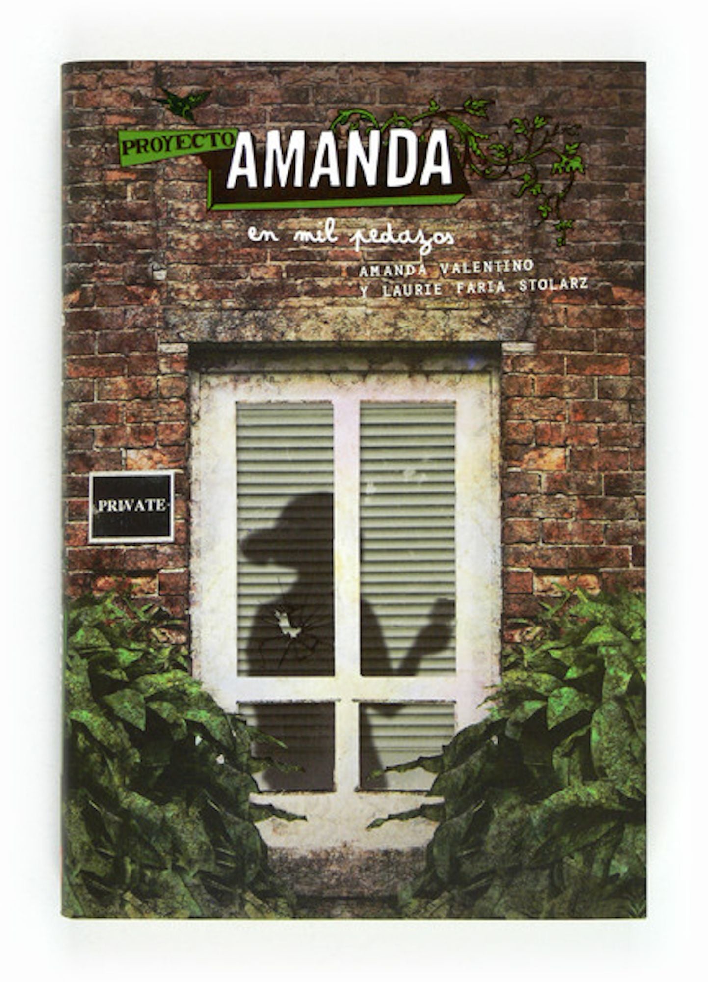 Proyecto Amanda. En mil pedazos (eBook - ePub)
