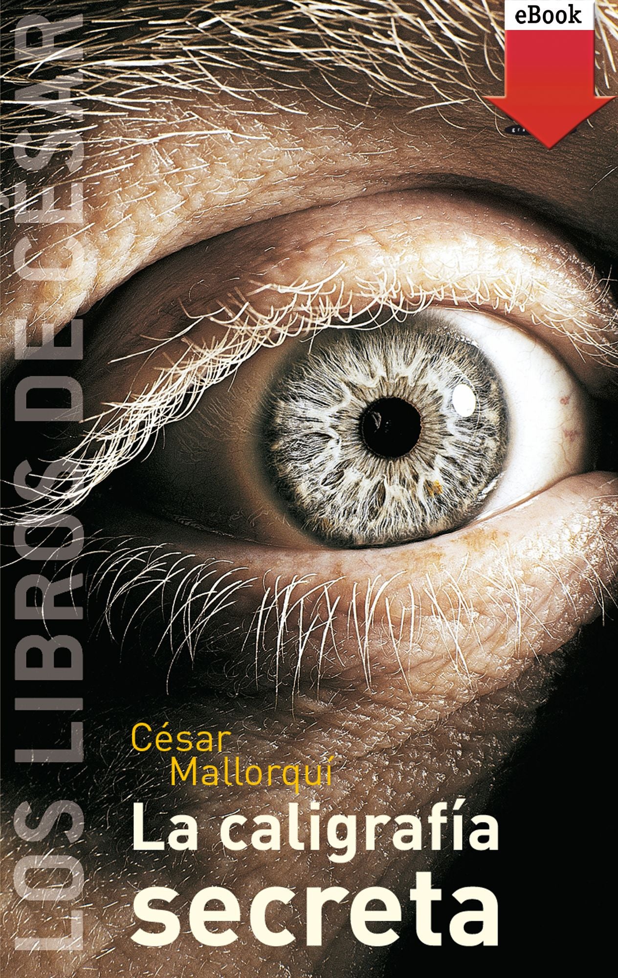 La caligrafía secreta (eBook-ePub)