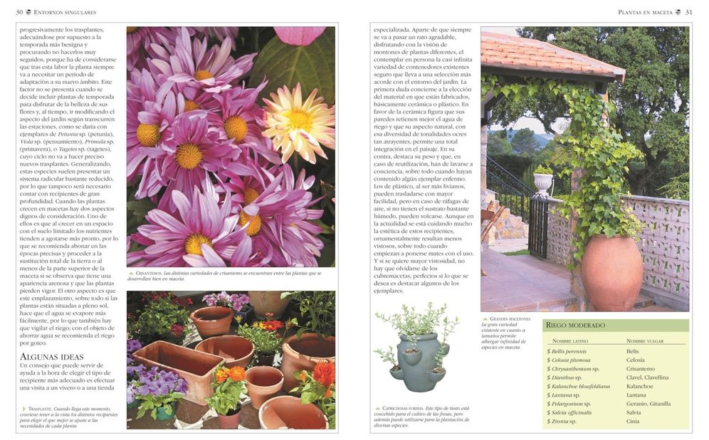 Jardineria sin agua: Xerojardineria